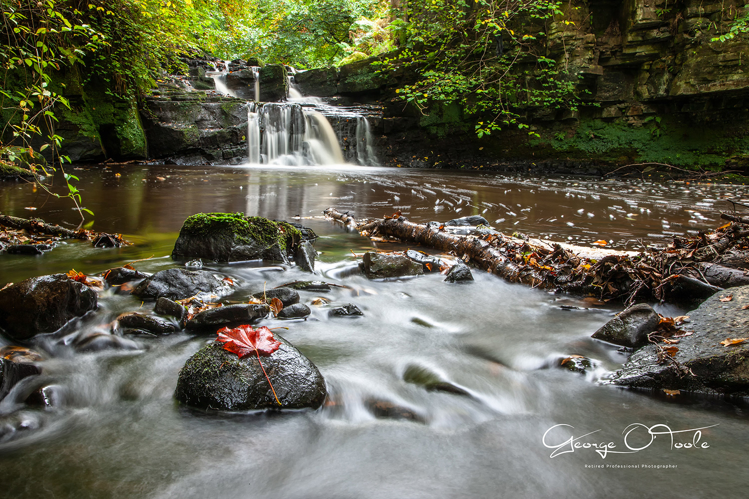 Murieston Water Almondvale & Calderwood Country Park 