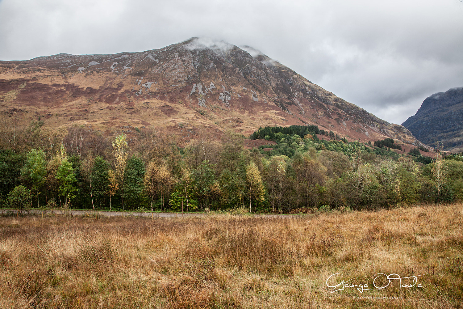 Glencoe