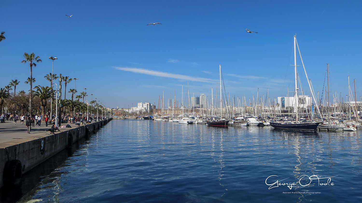 The Marina Barcelona