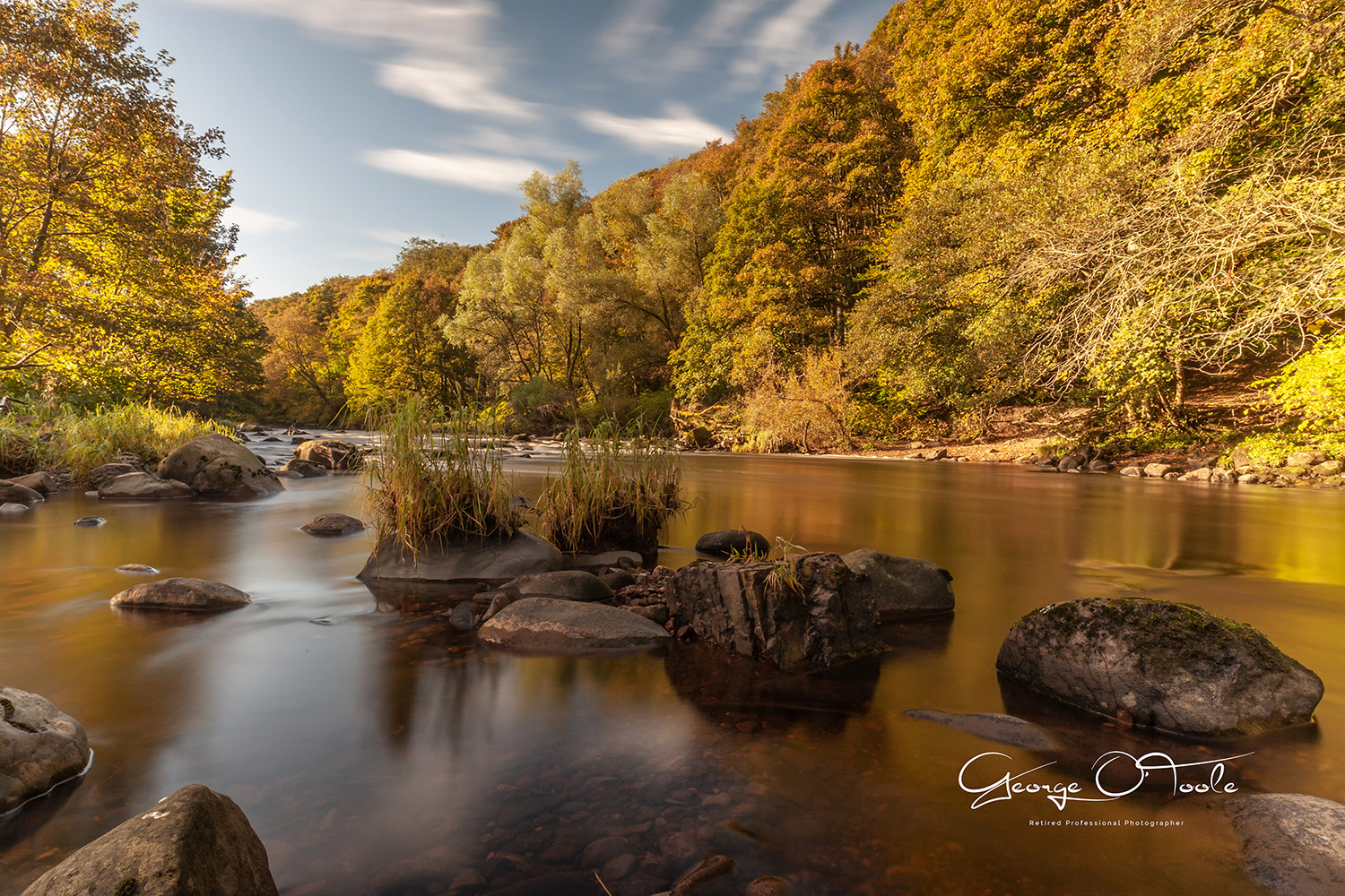 River Almond Almondvale & Calderwood Country Park 