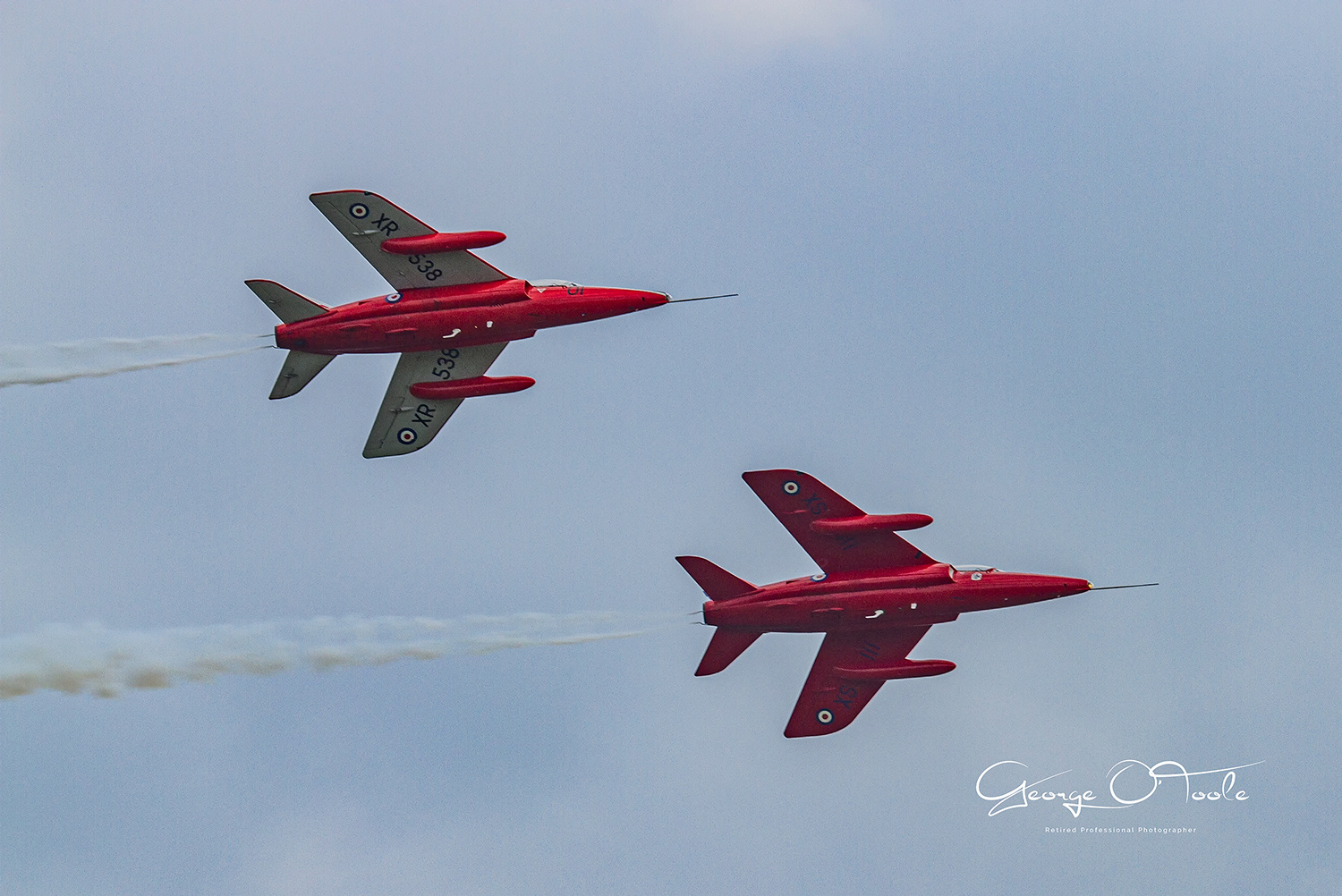 Gnat Display Royal Air Force