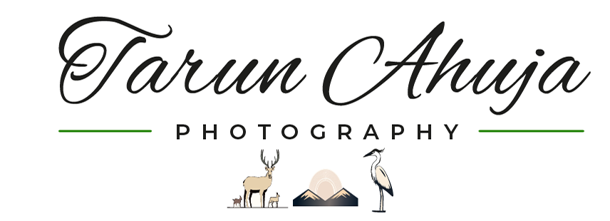 Tarun Ahuja Photography