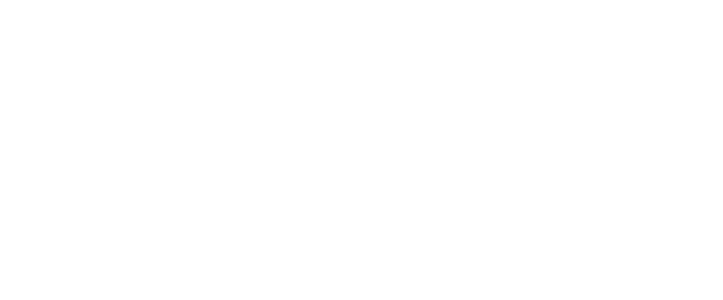 Climate Infrastructure Partnership