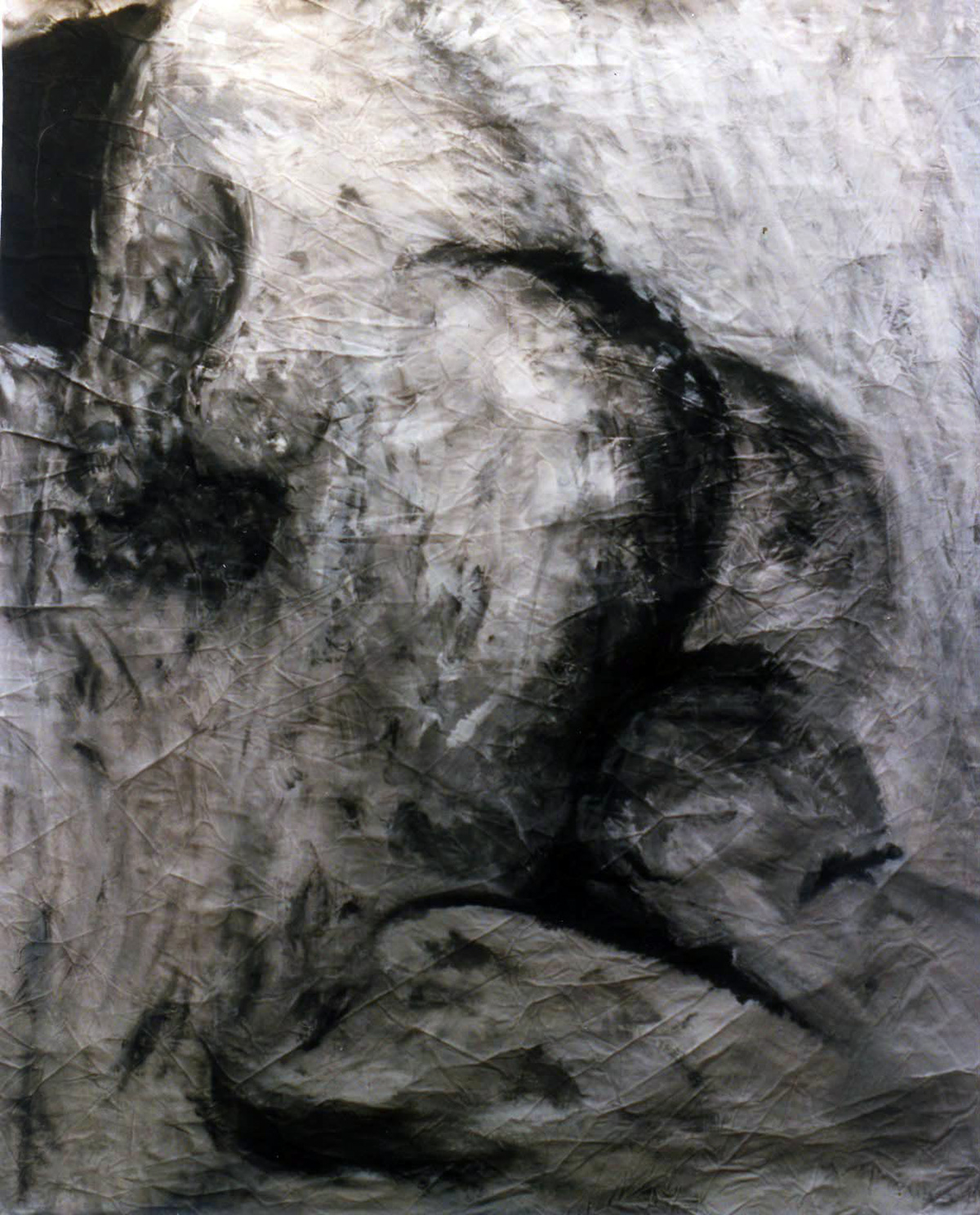 nu / nude - 1995