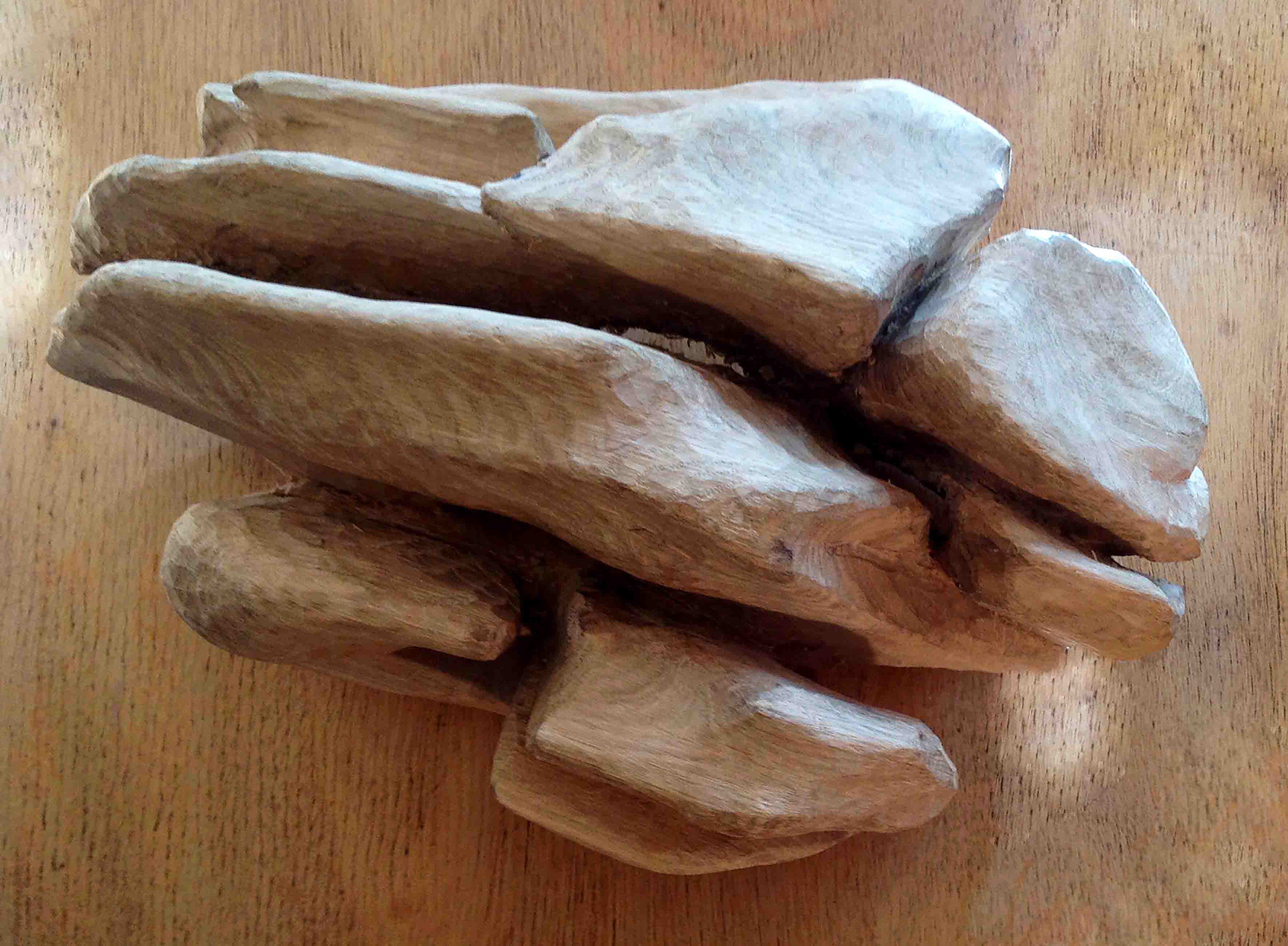 sculpture de main I / hand sculpture - 2015