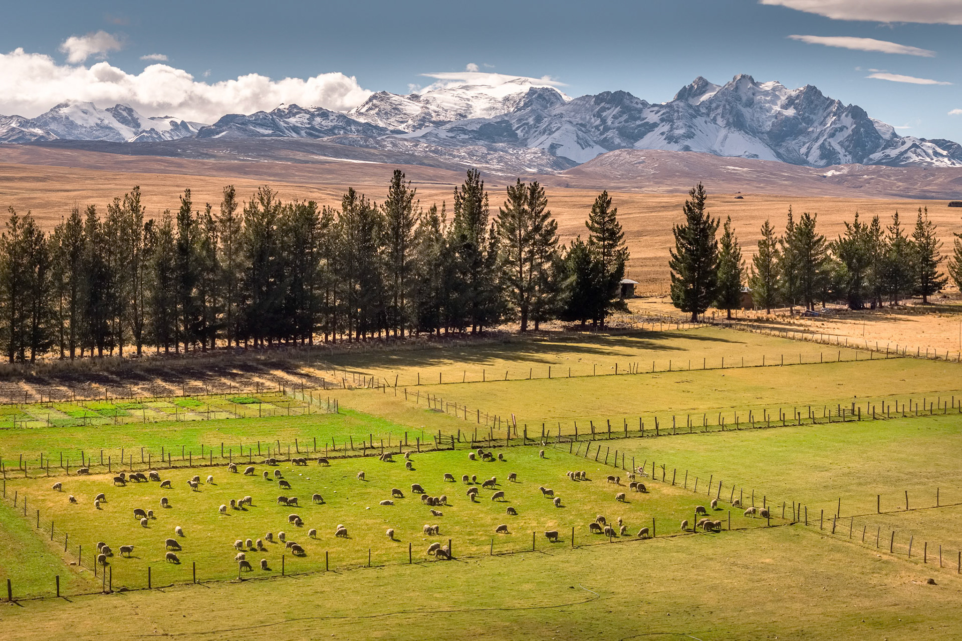 View of the Callauraju Mountain, in the withe range of Ancash, Peru.