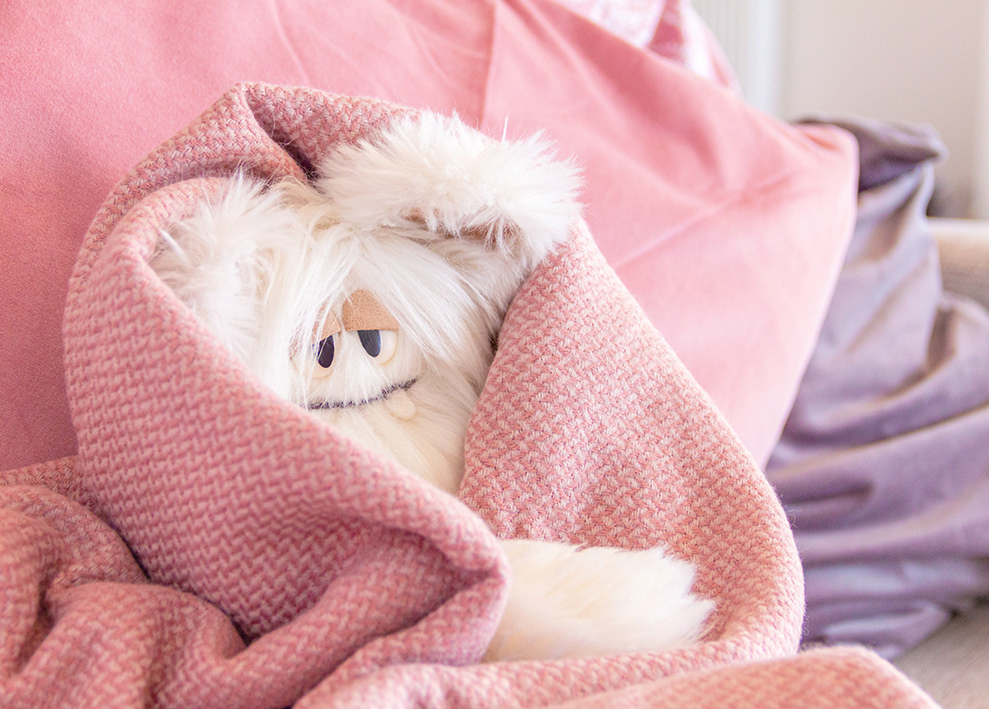 Tobi loves to cuddle up in blankets