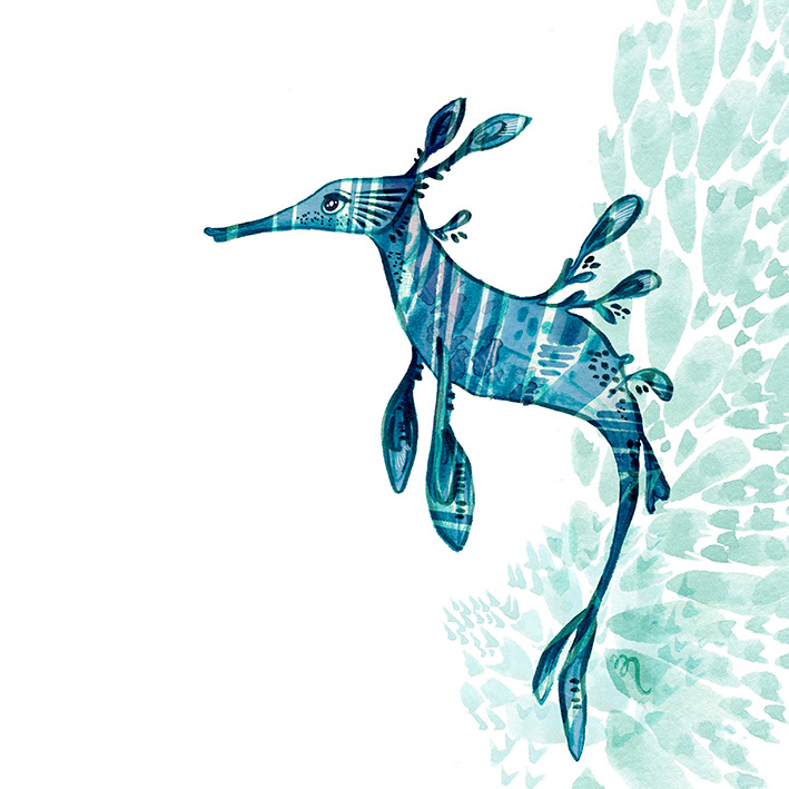 Sea Dragon - marker & digital