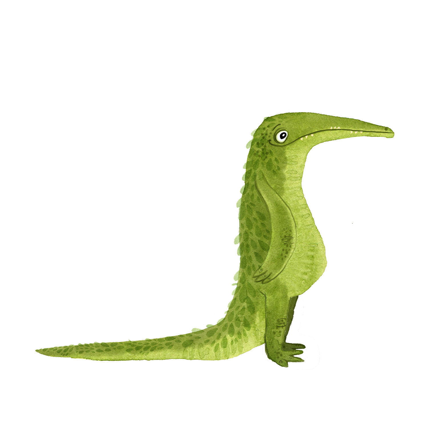 Crocodile character - watercolour & digital