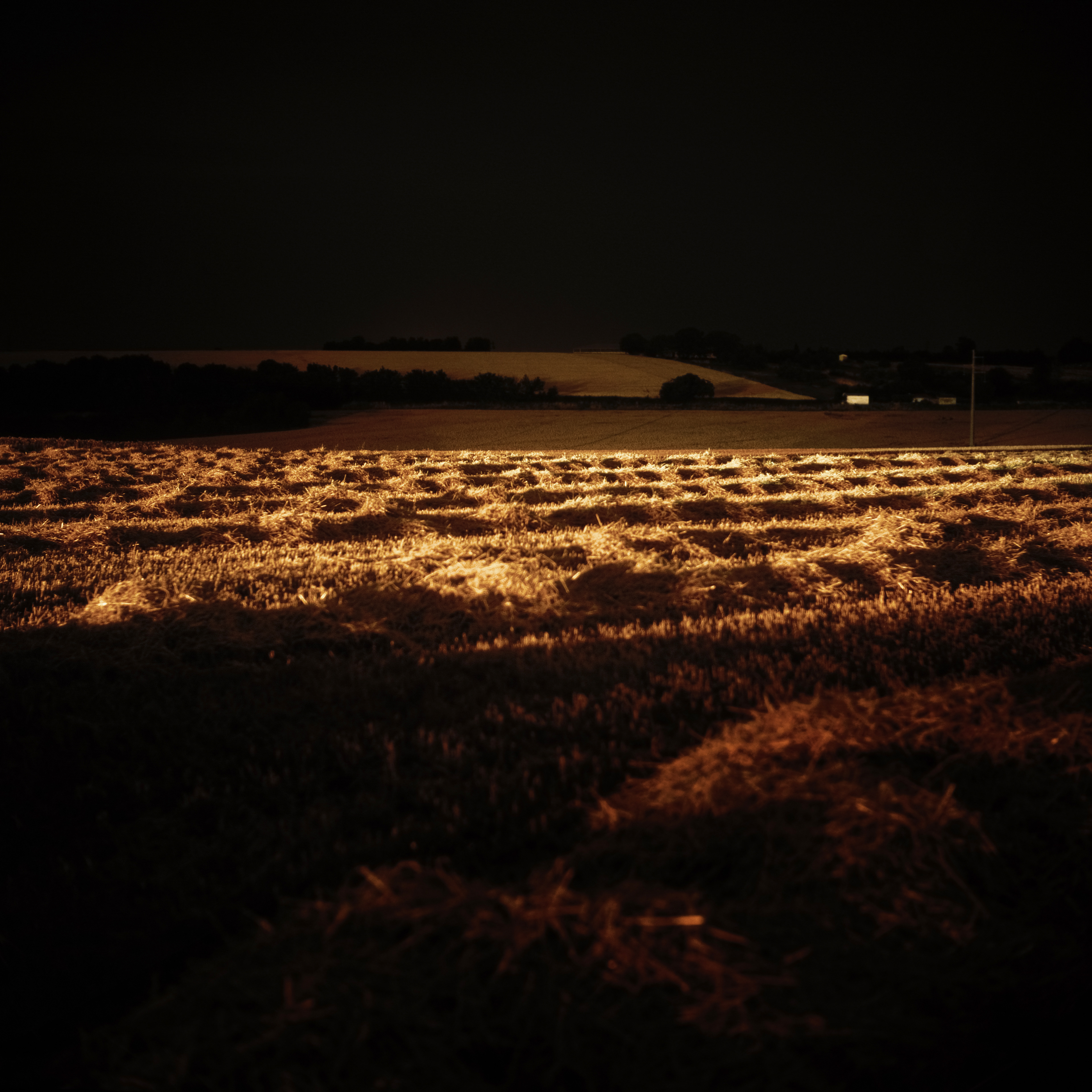 Exposition "Exil" 2008 / 2009