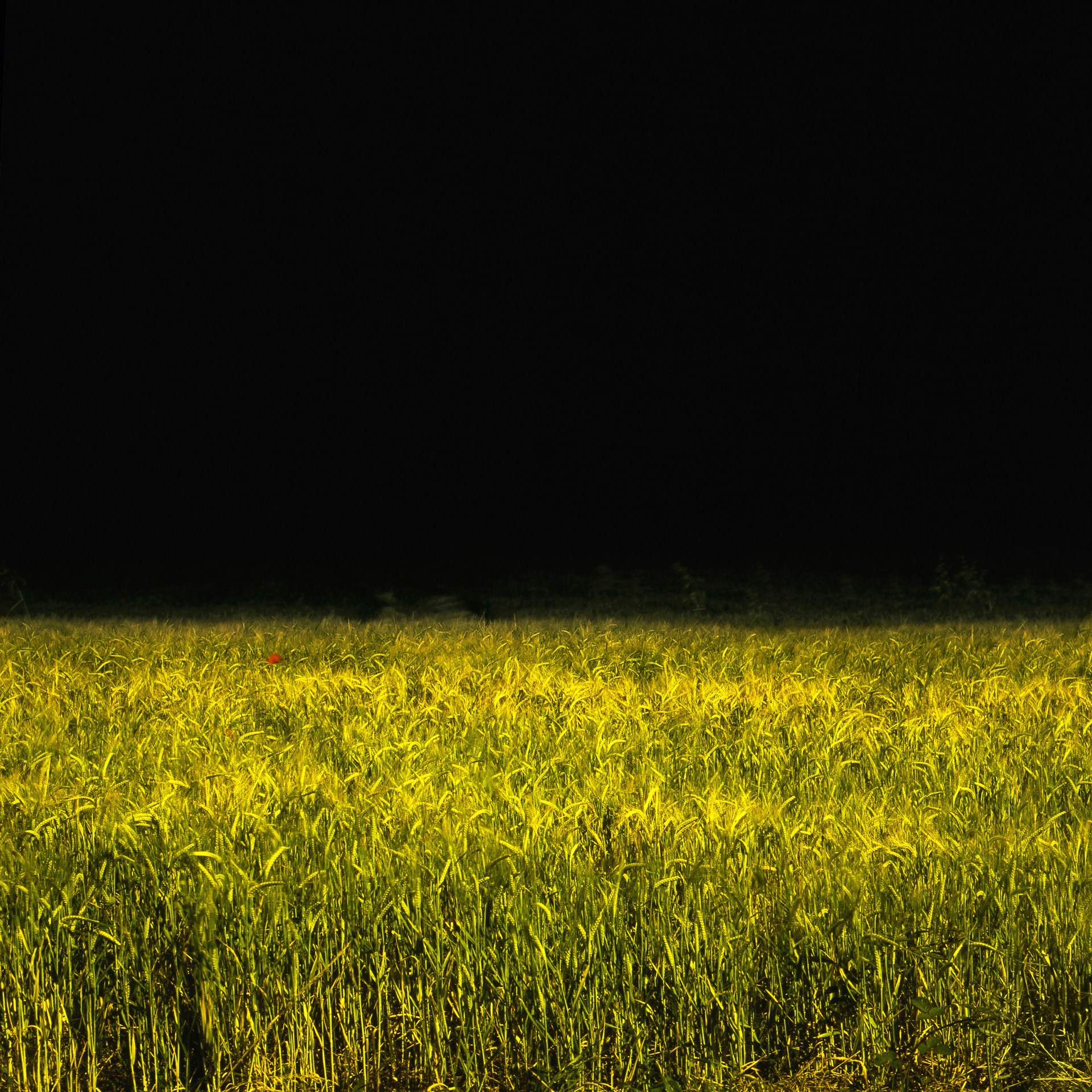 Exposition "Exil" 2008 / 2009