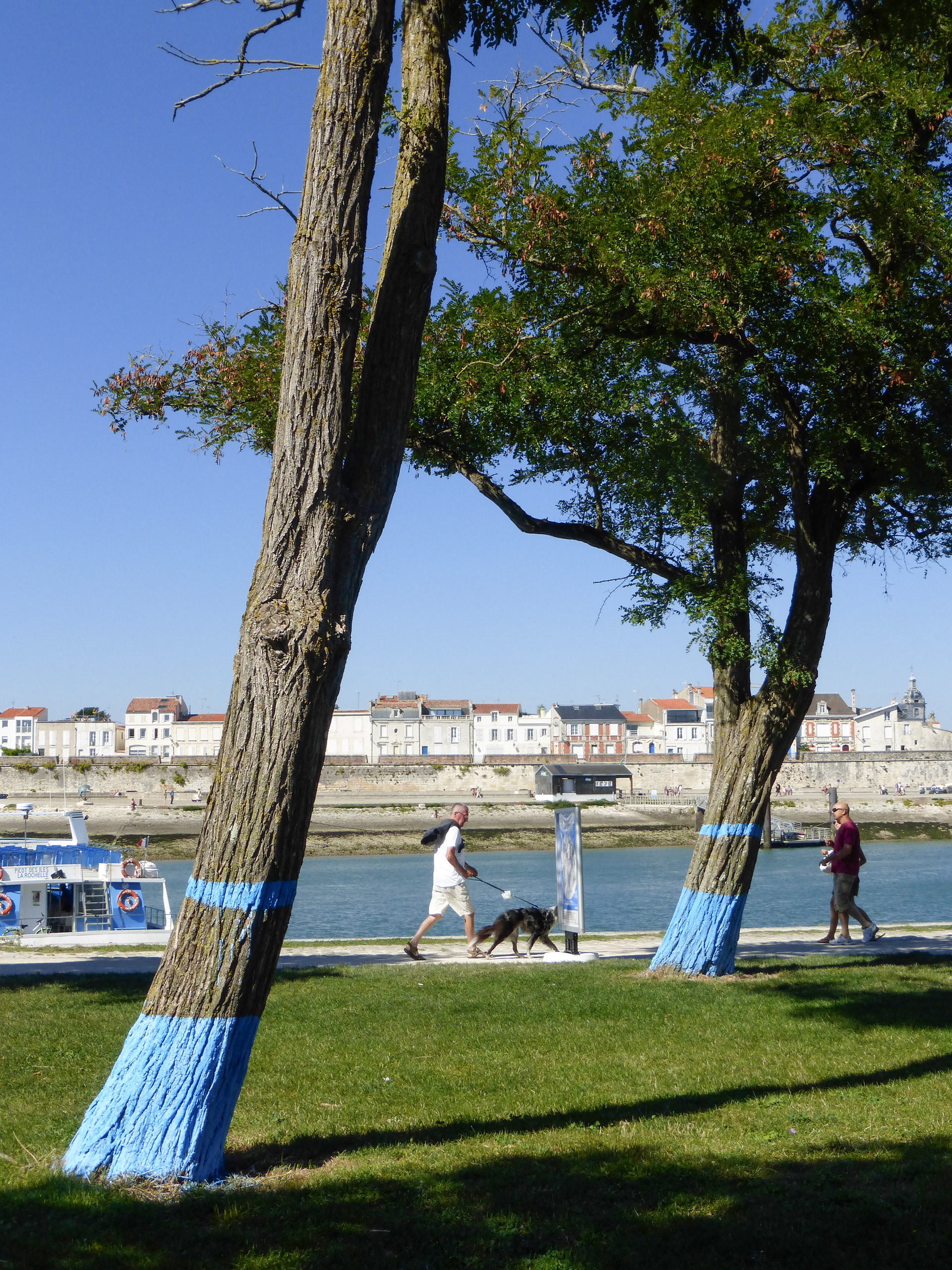 Bleu Versant - Arbres Bleus - La Rochelle - 2014