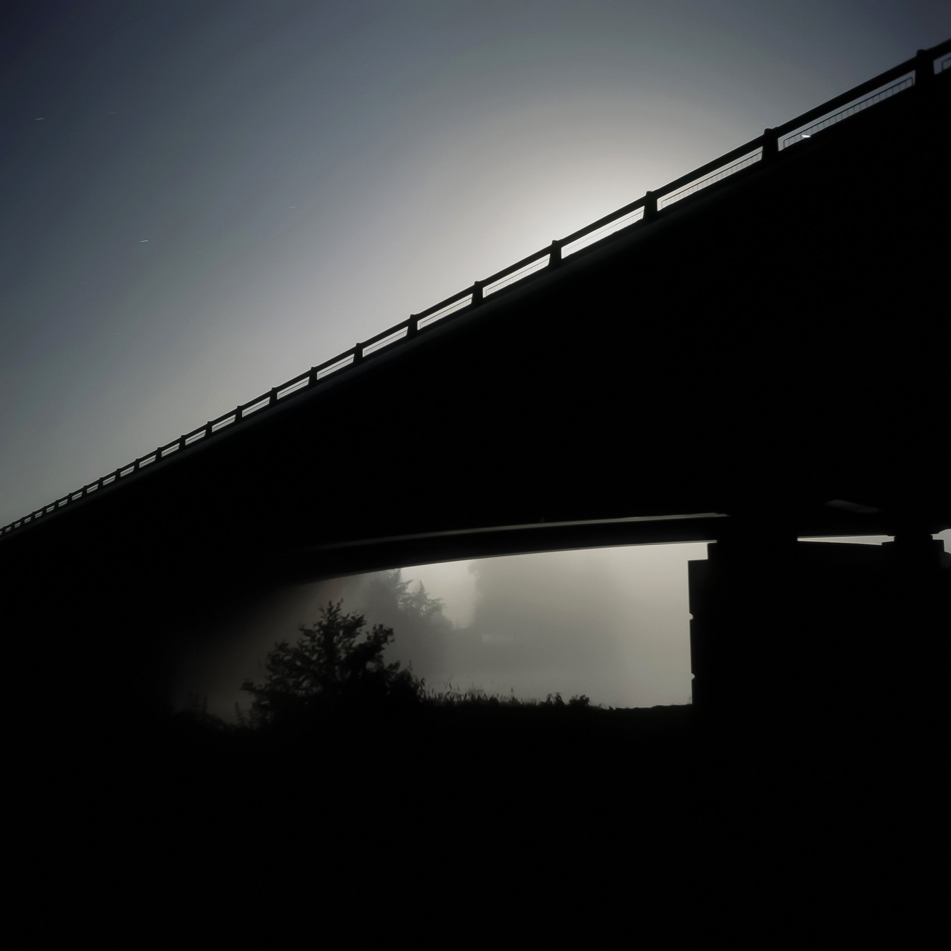 Exposition "Exil" 2008 / 2009