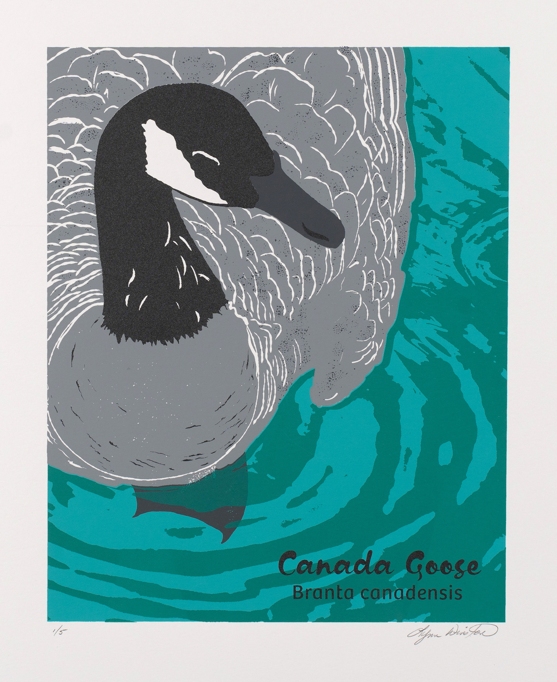 Canada Goose (screen print 5-color)