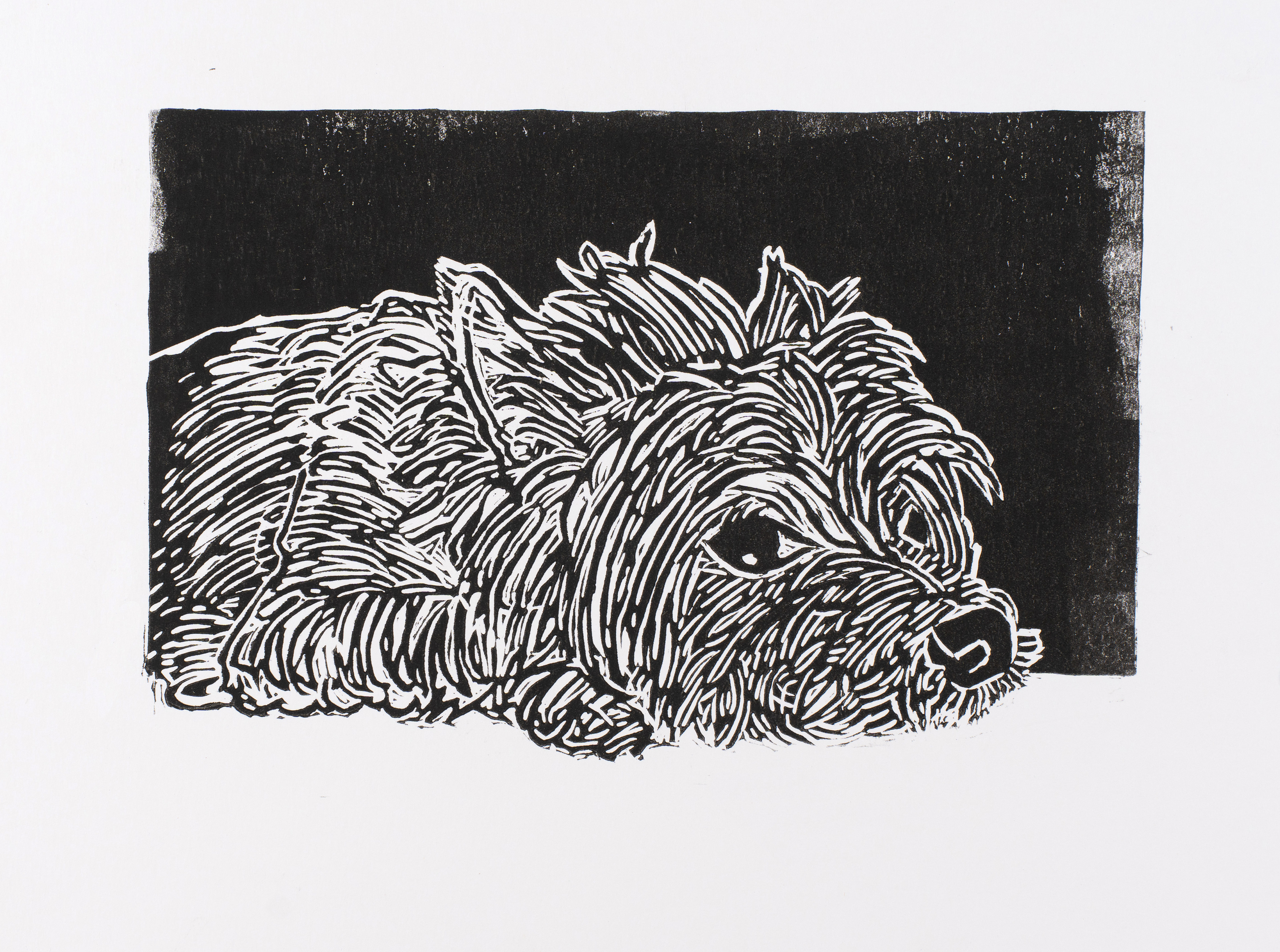 Nelson (linocut 1-color)