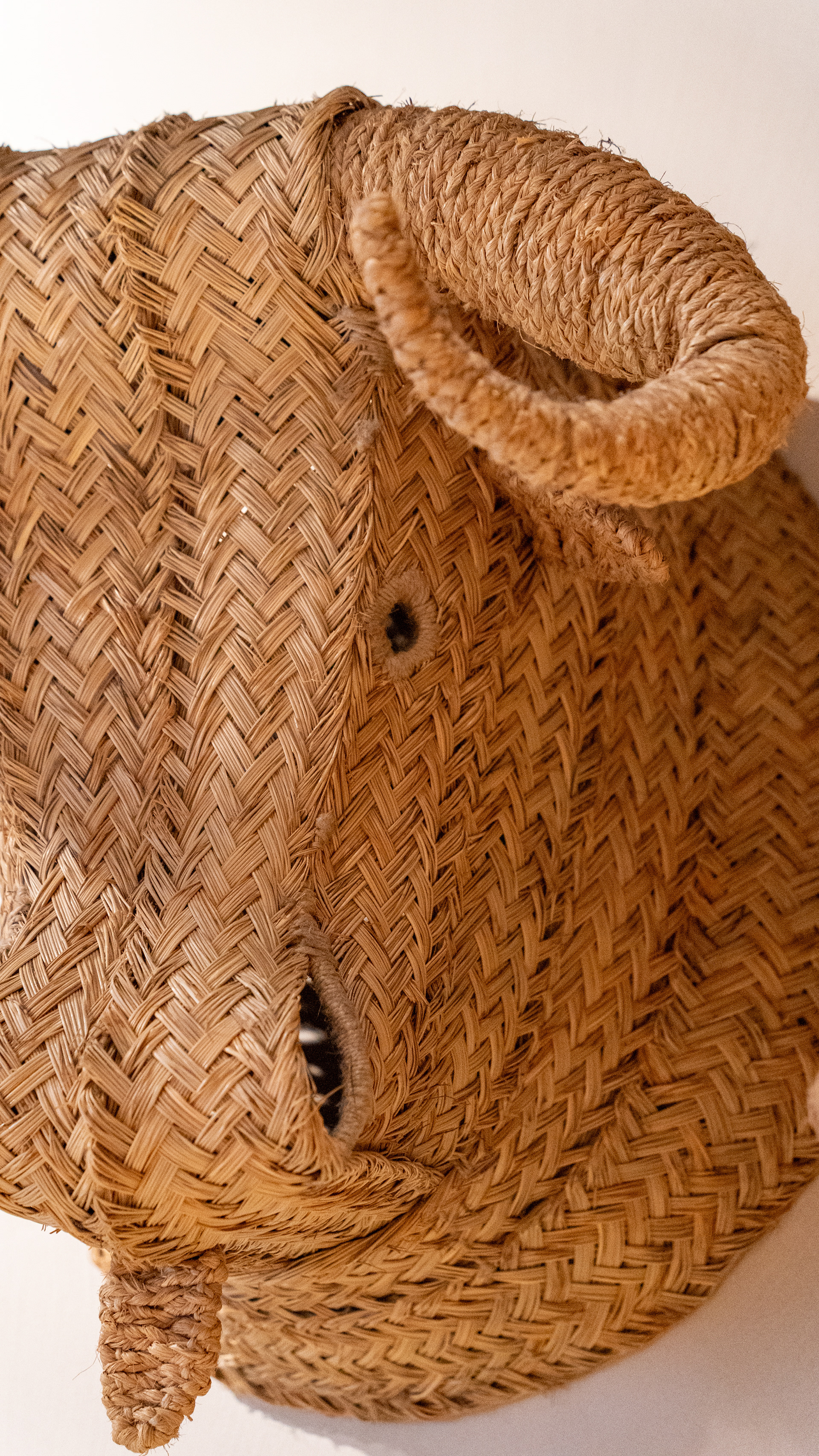 Toro bravo, decoración