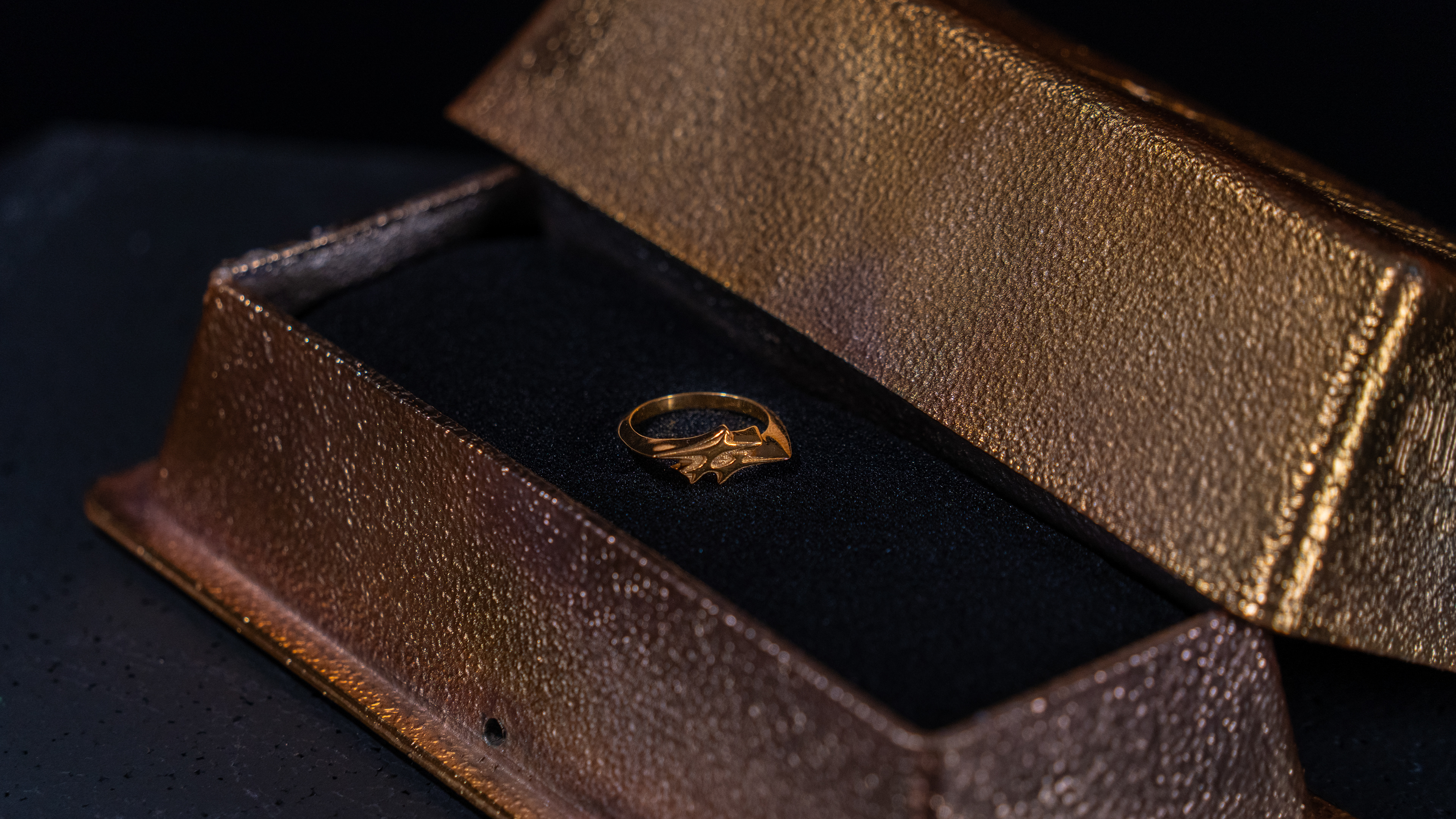 El anillo de Ganga