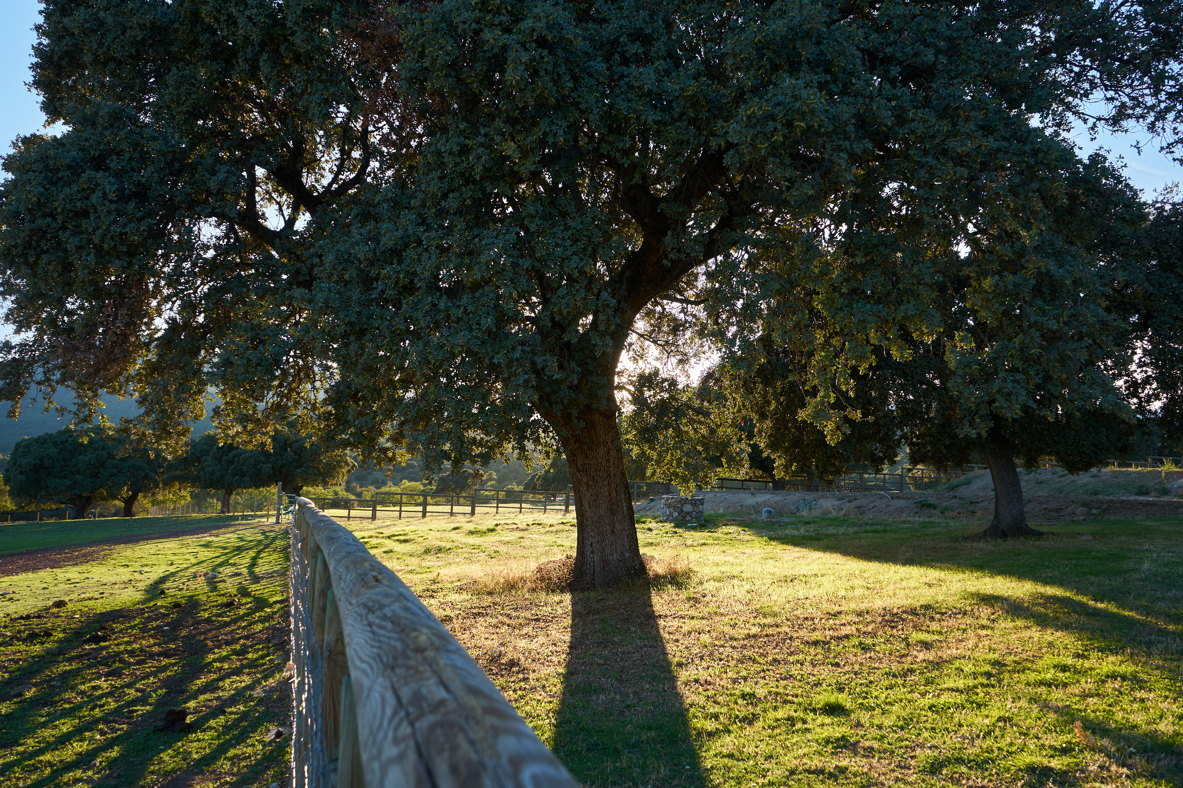 La naturaleza de la finca