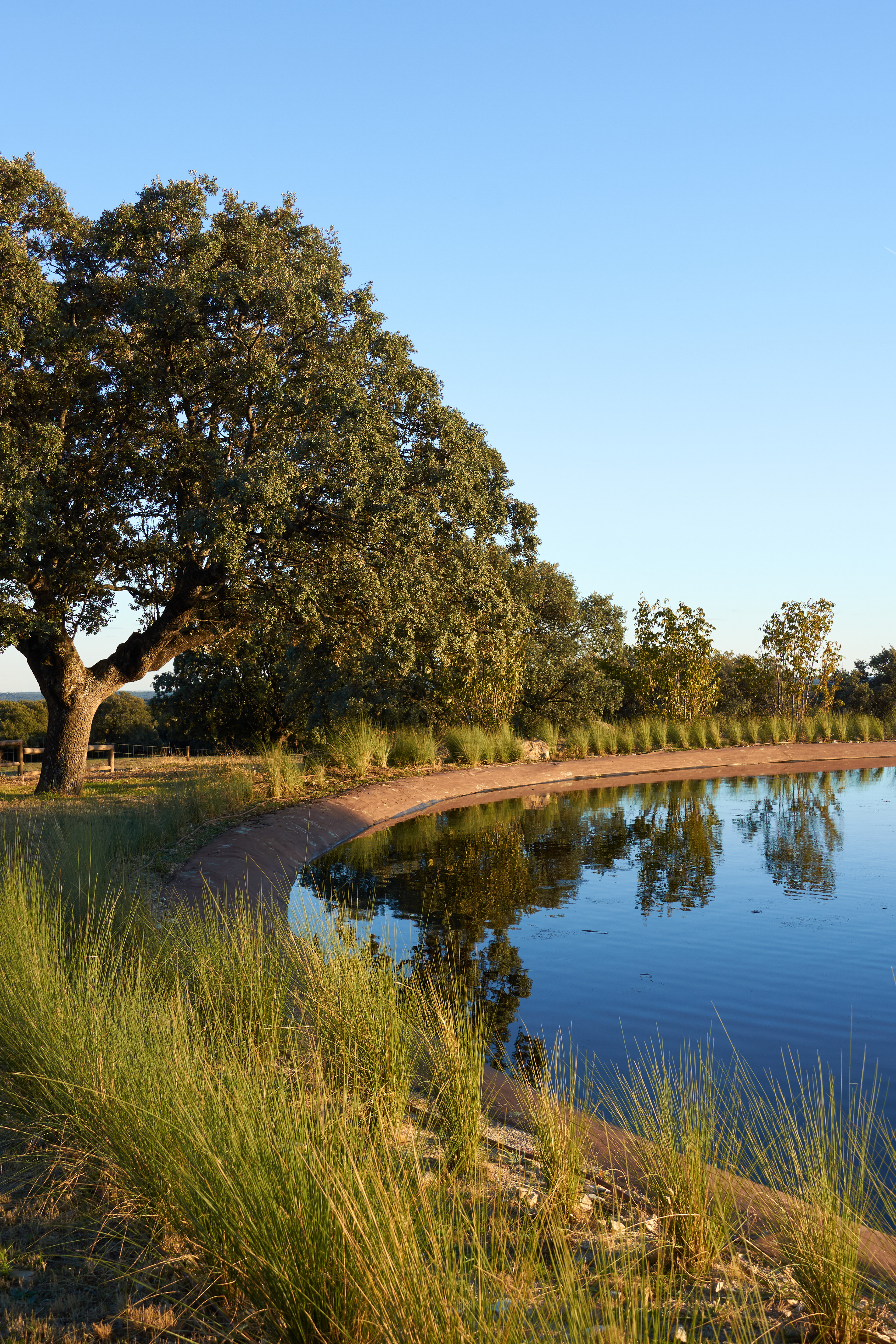 La orilla del lago