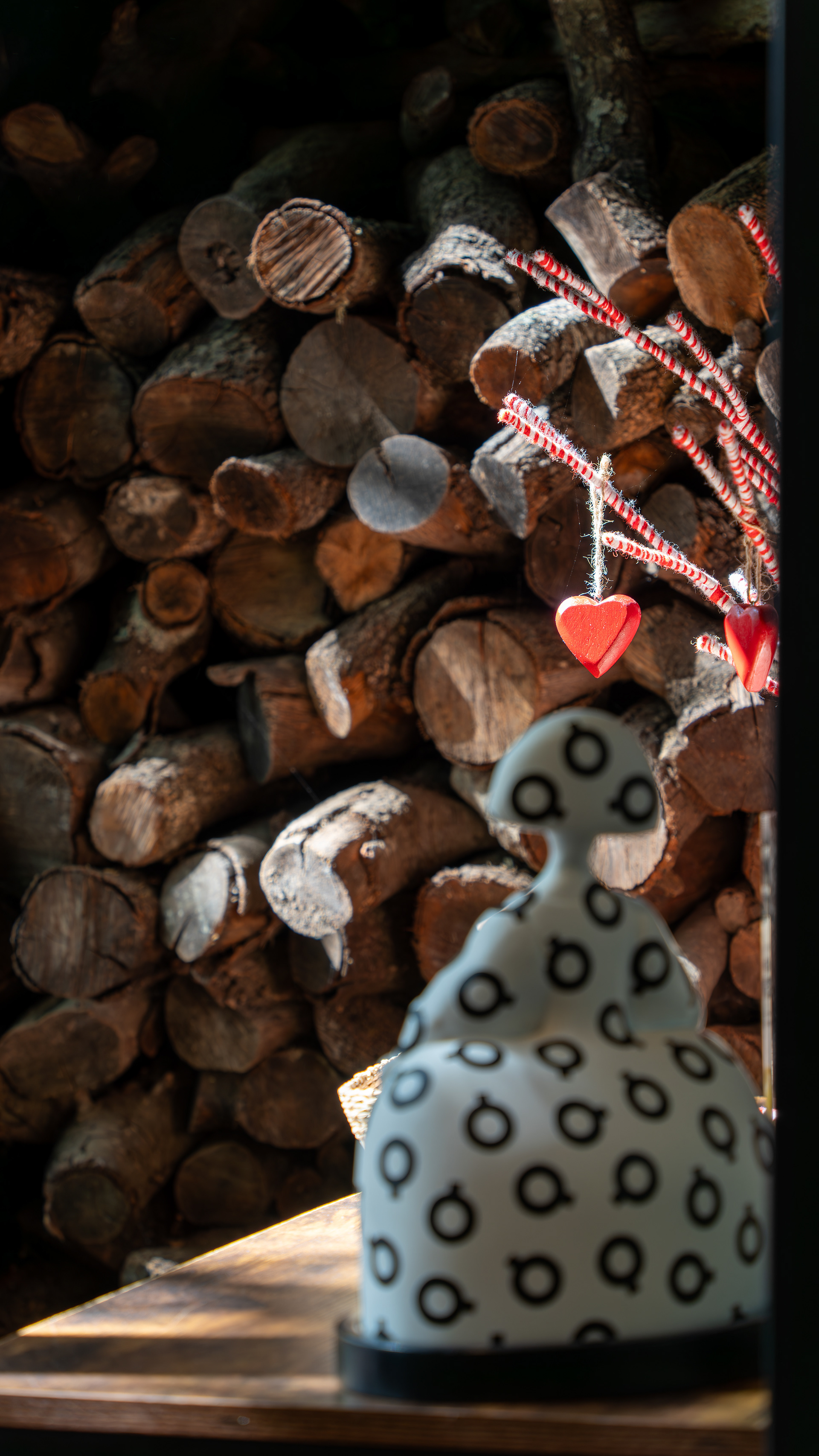 La madera de encina para el horno