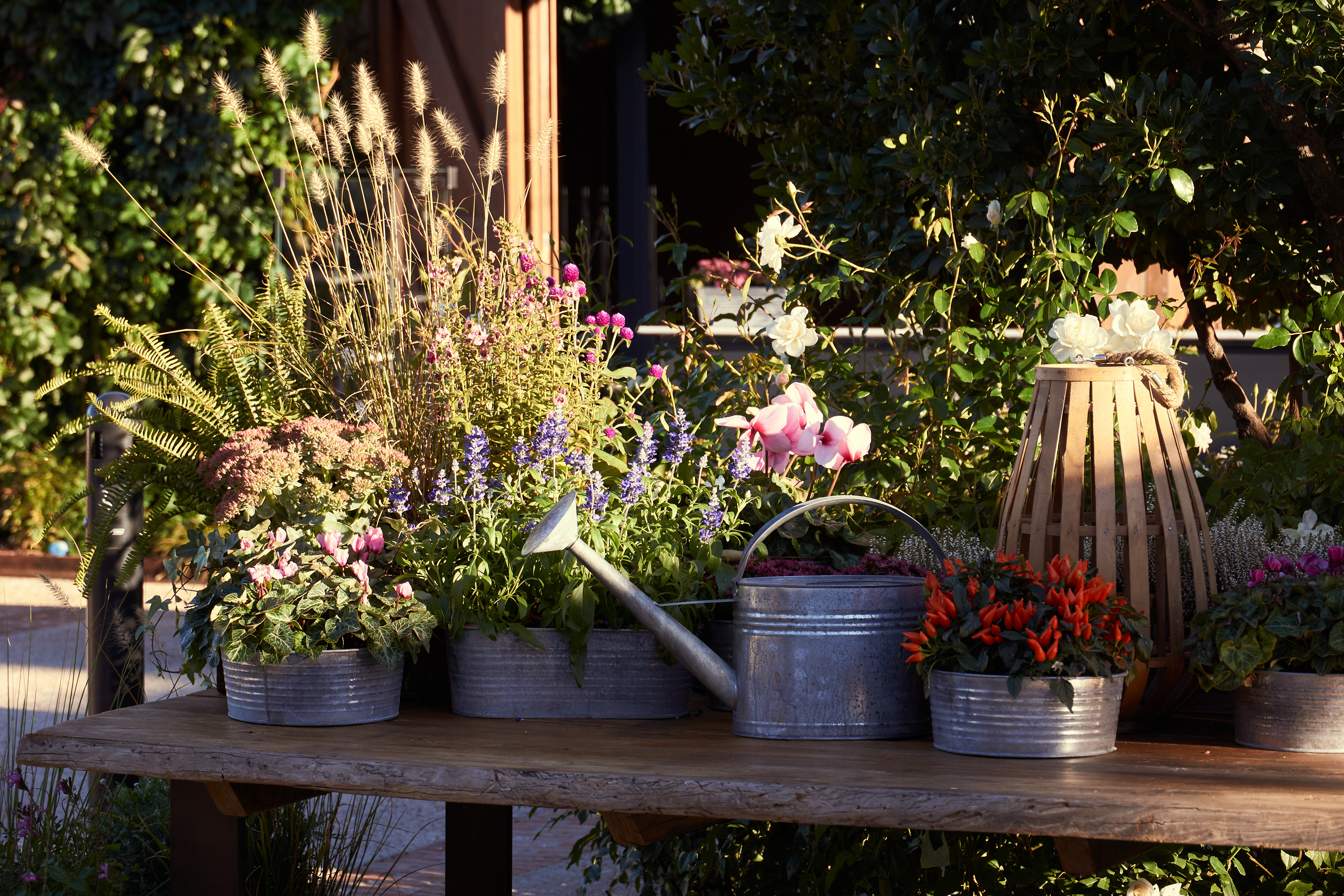 Detalles florales