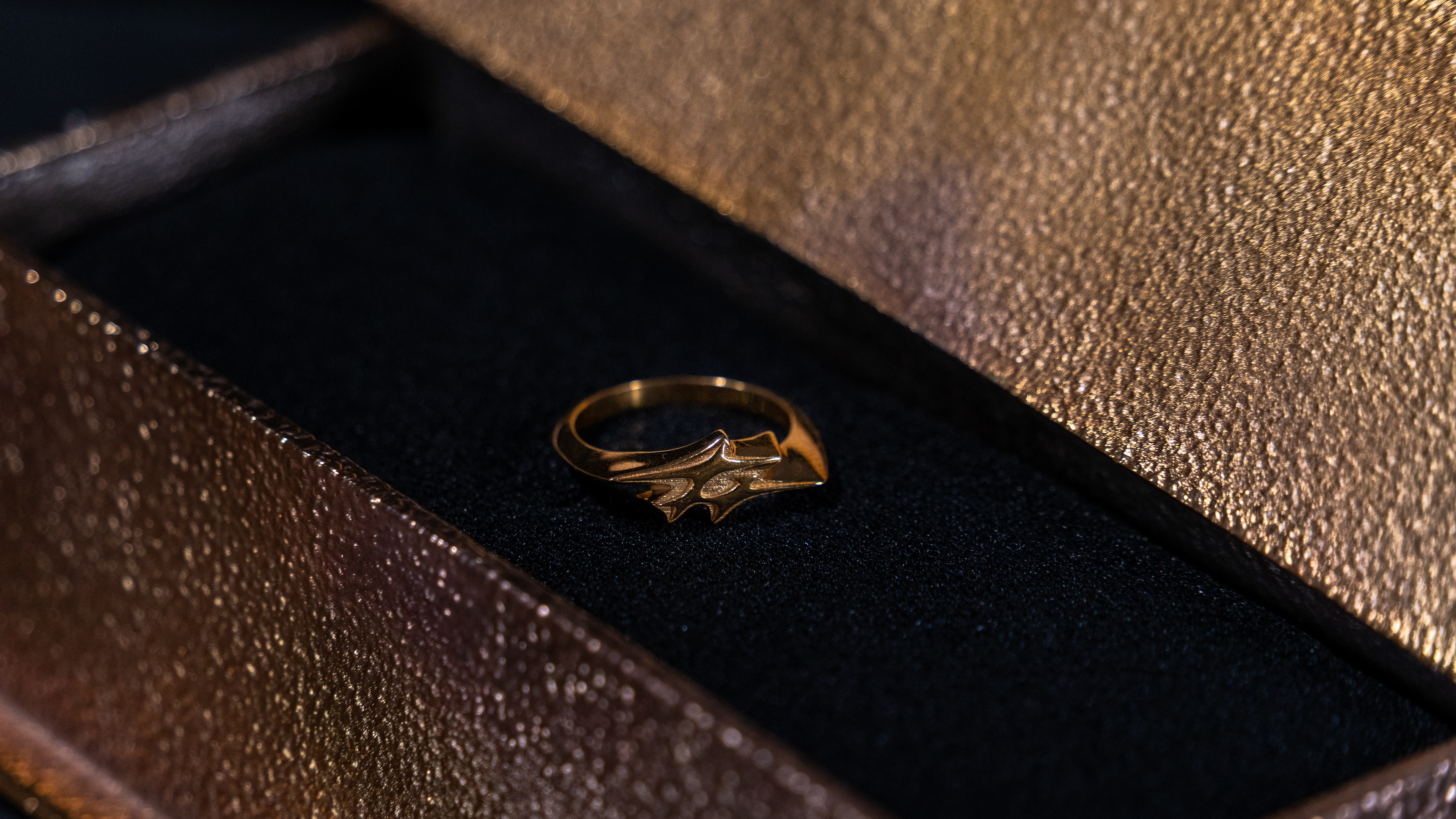 Anillo al detalle