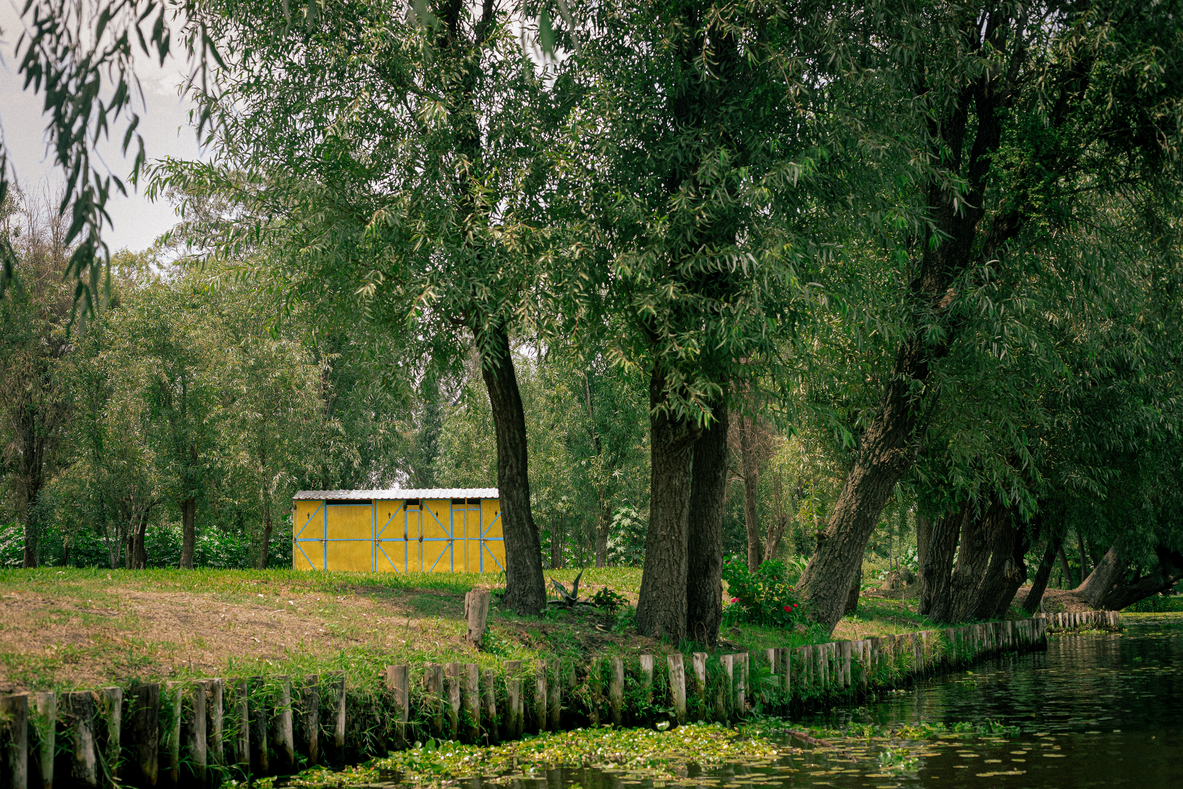 Taken in Xochimilco