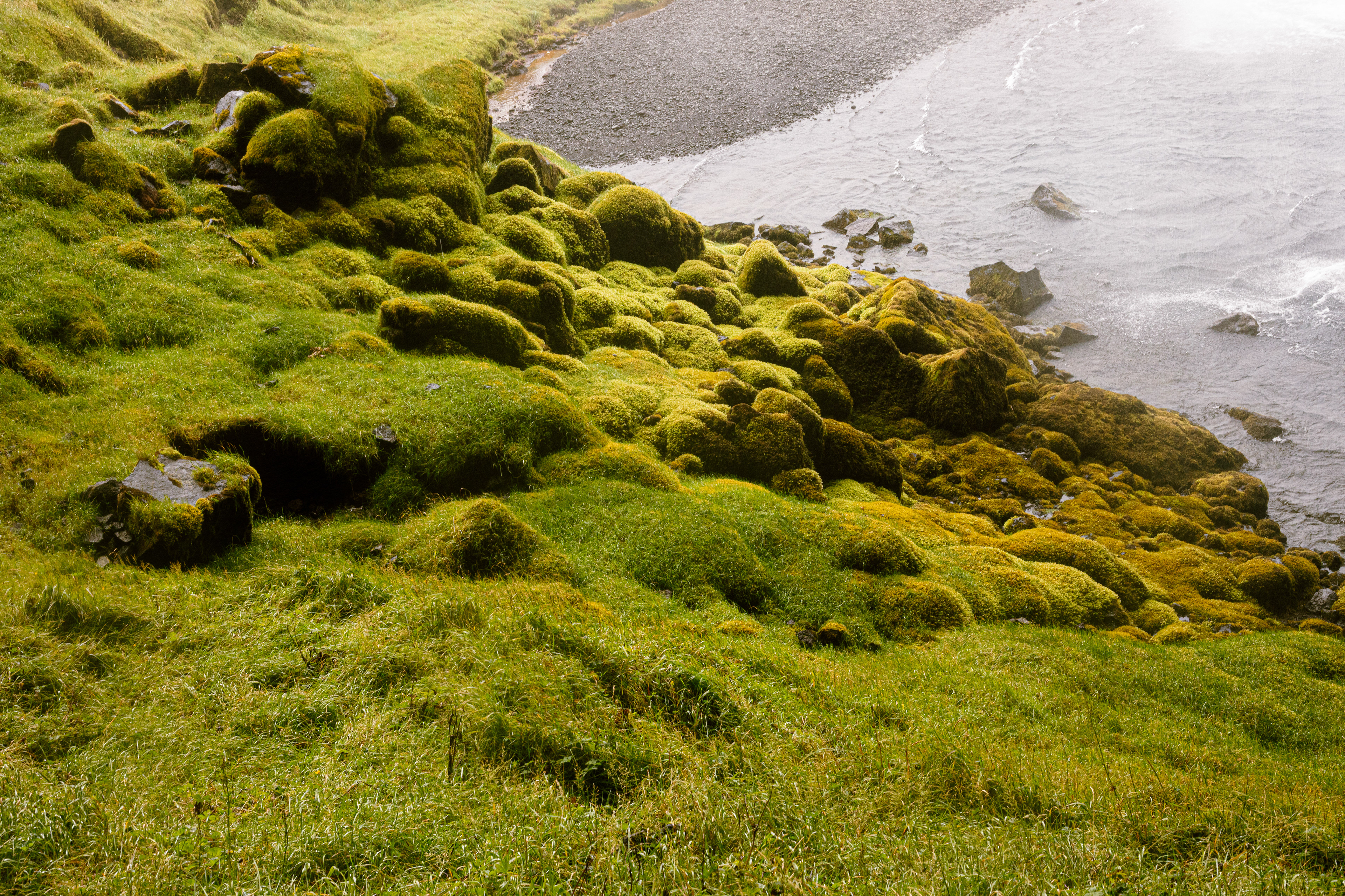 Taken in Grindavík