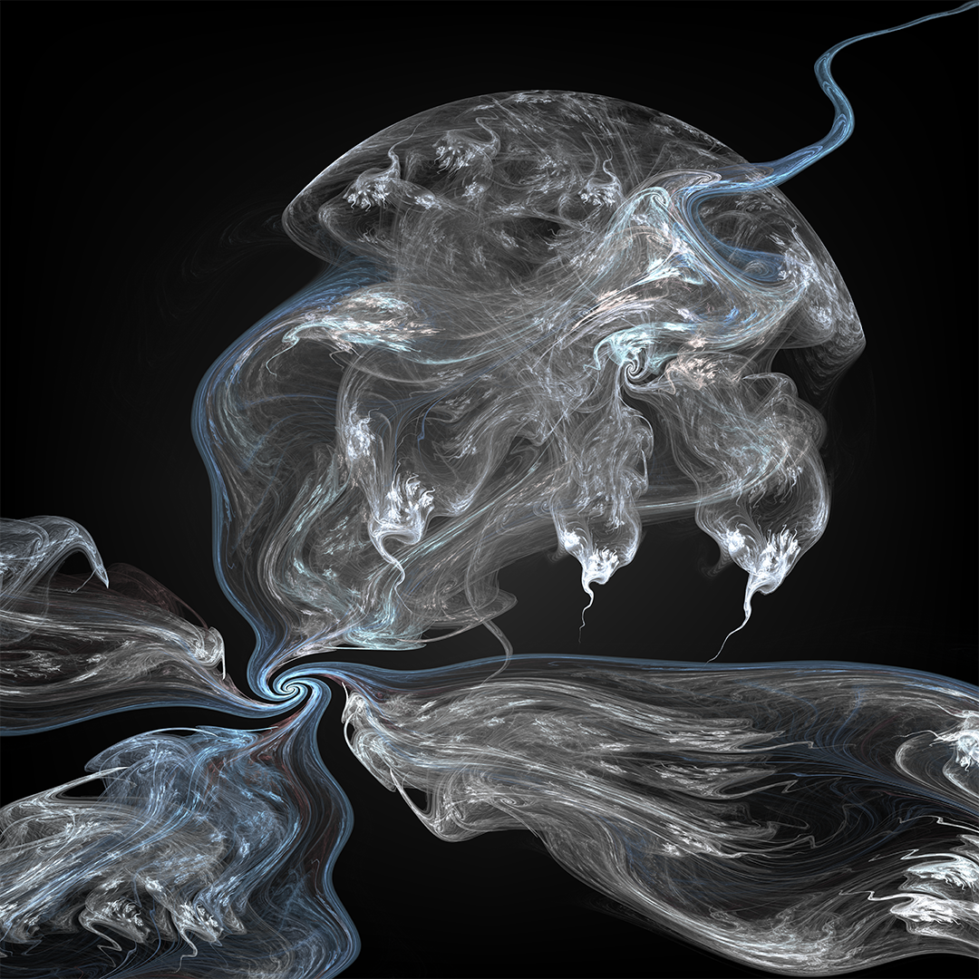 Jellyfish