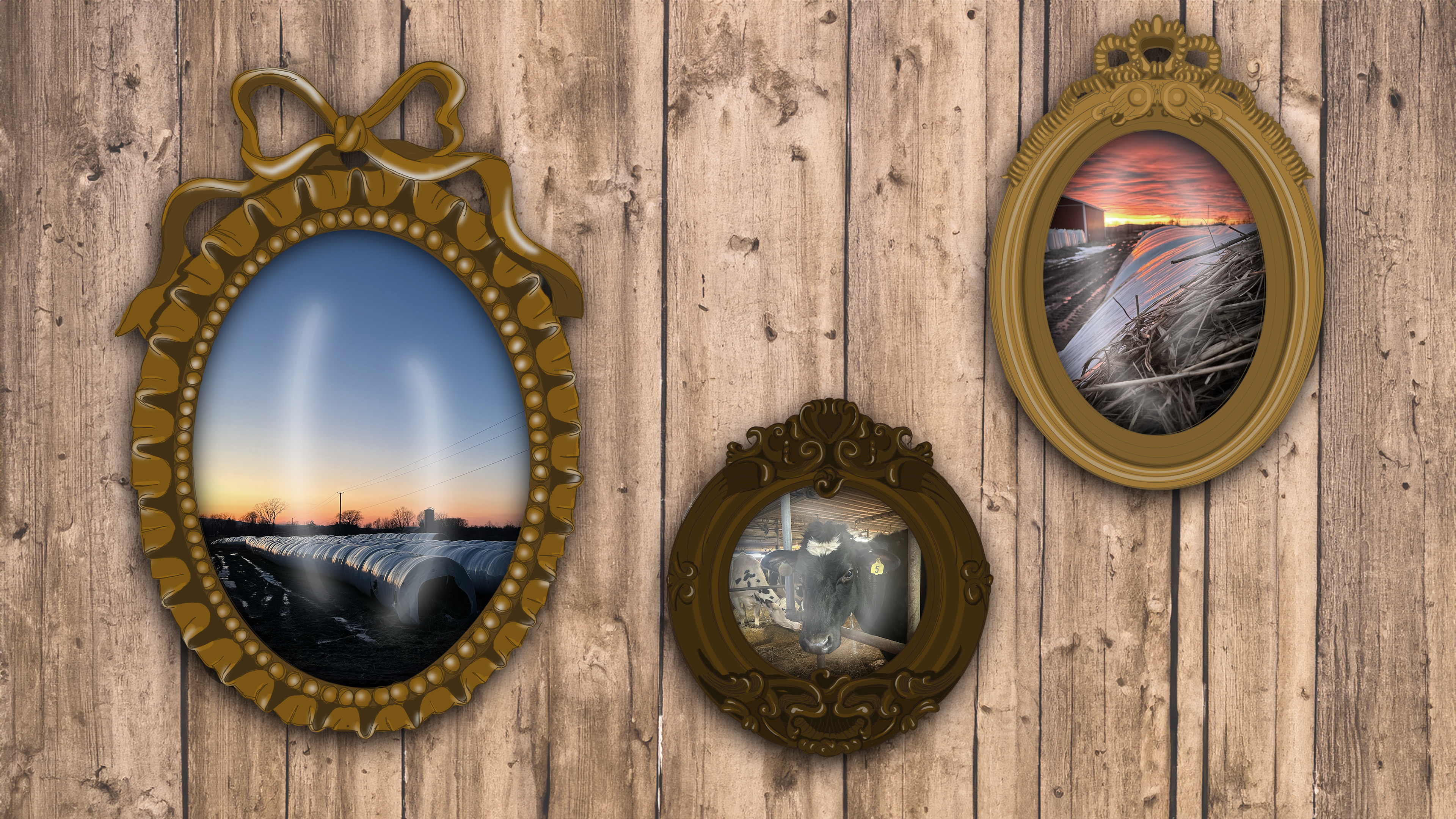 "Farm Frames" , Procreate & Photoshop