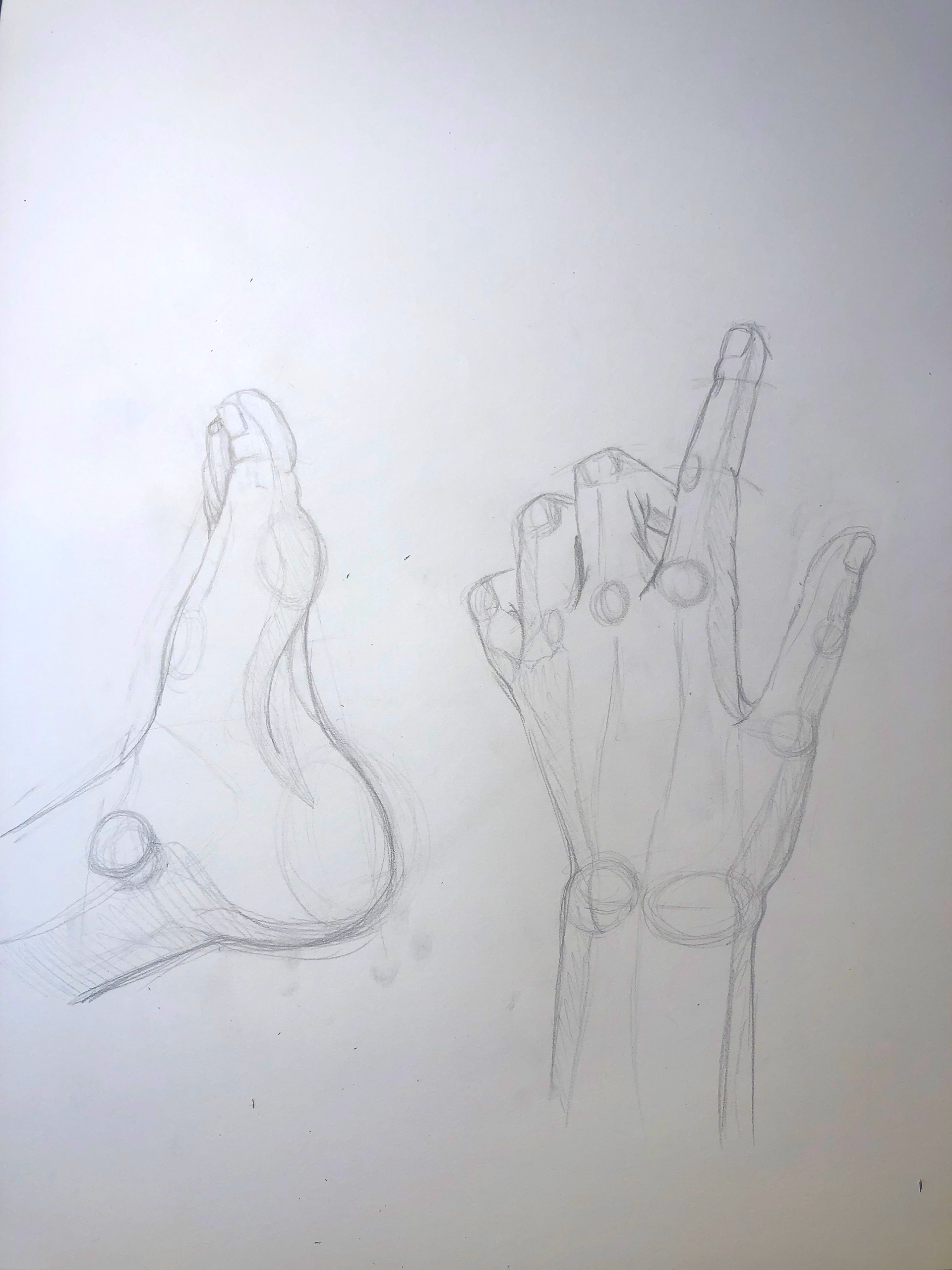 hand & foot observation, graphite on paper