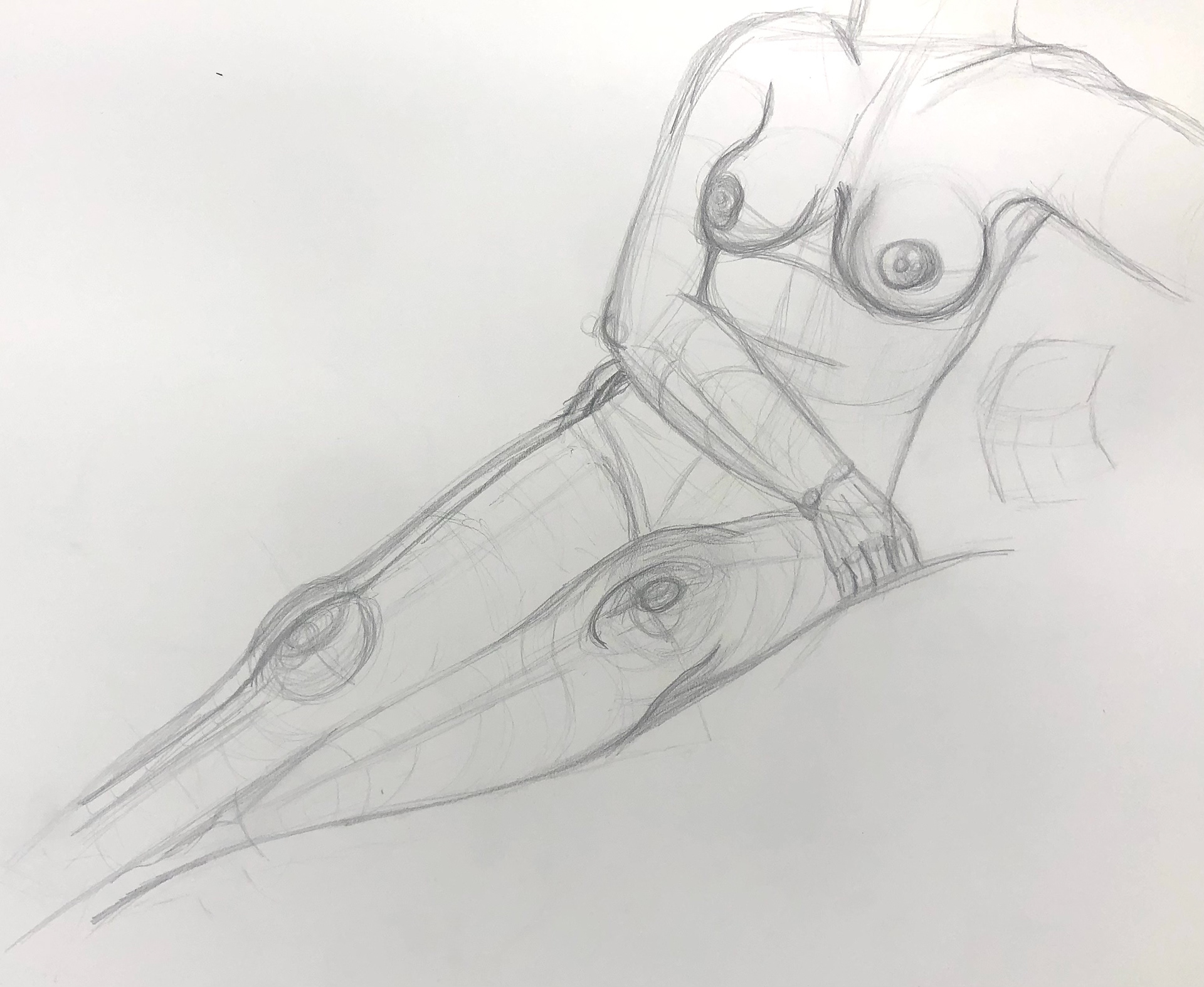 Gestalt practice, graphite on paper