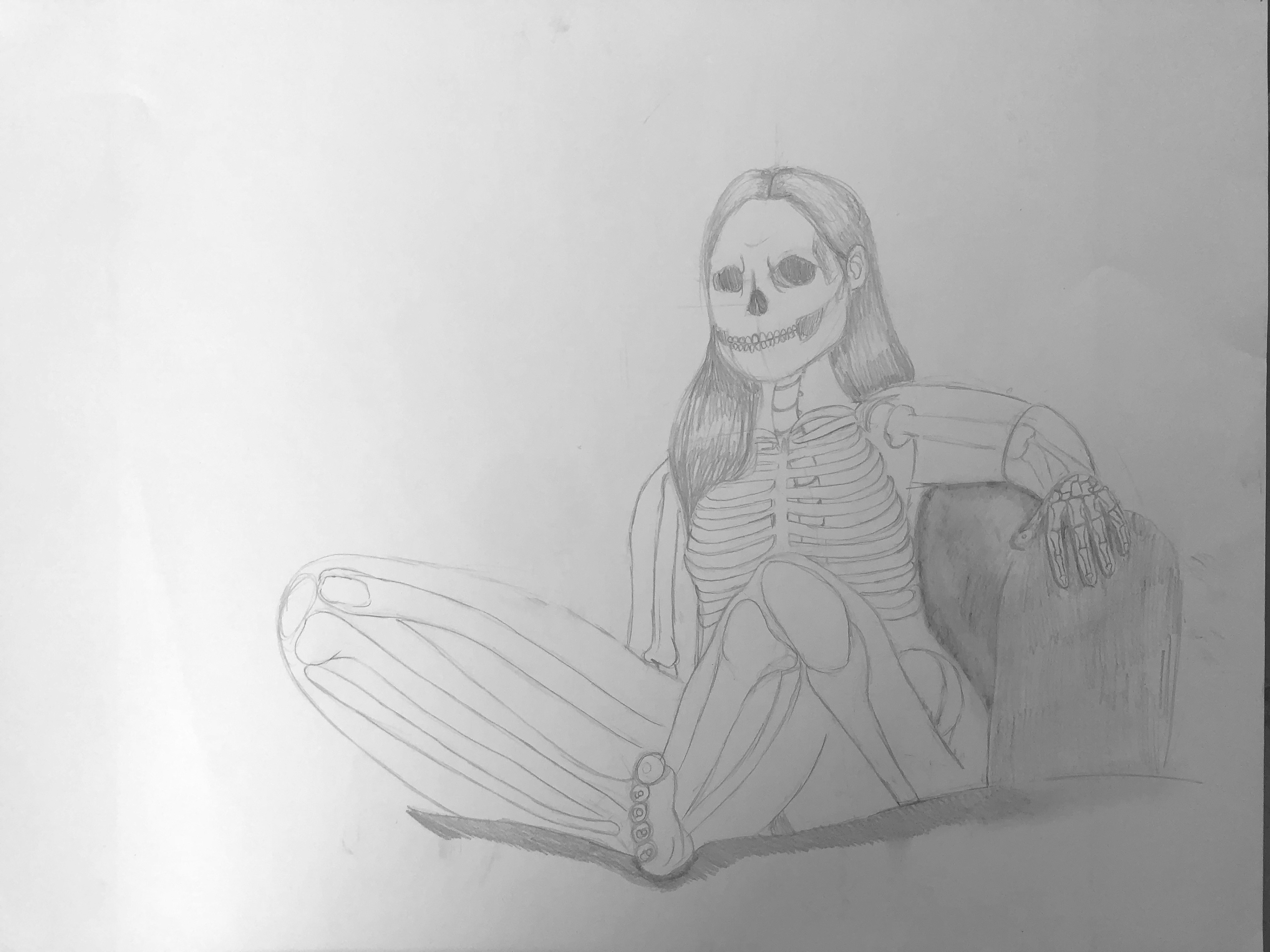 skeletal study, graphite on paper