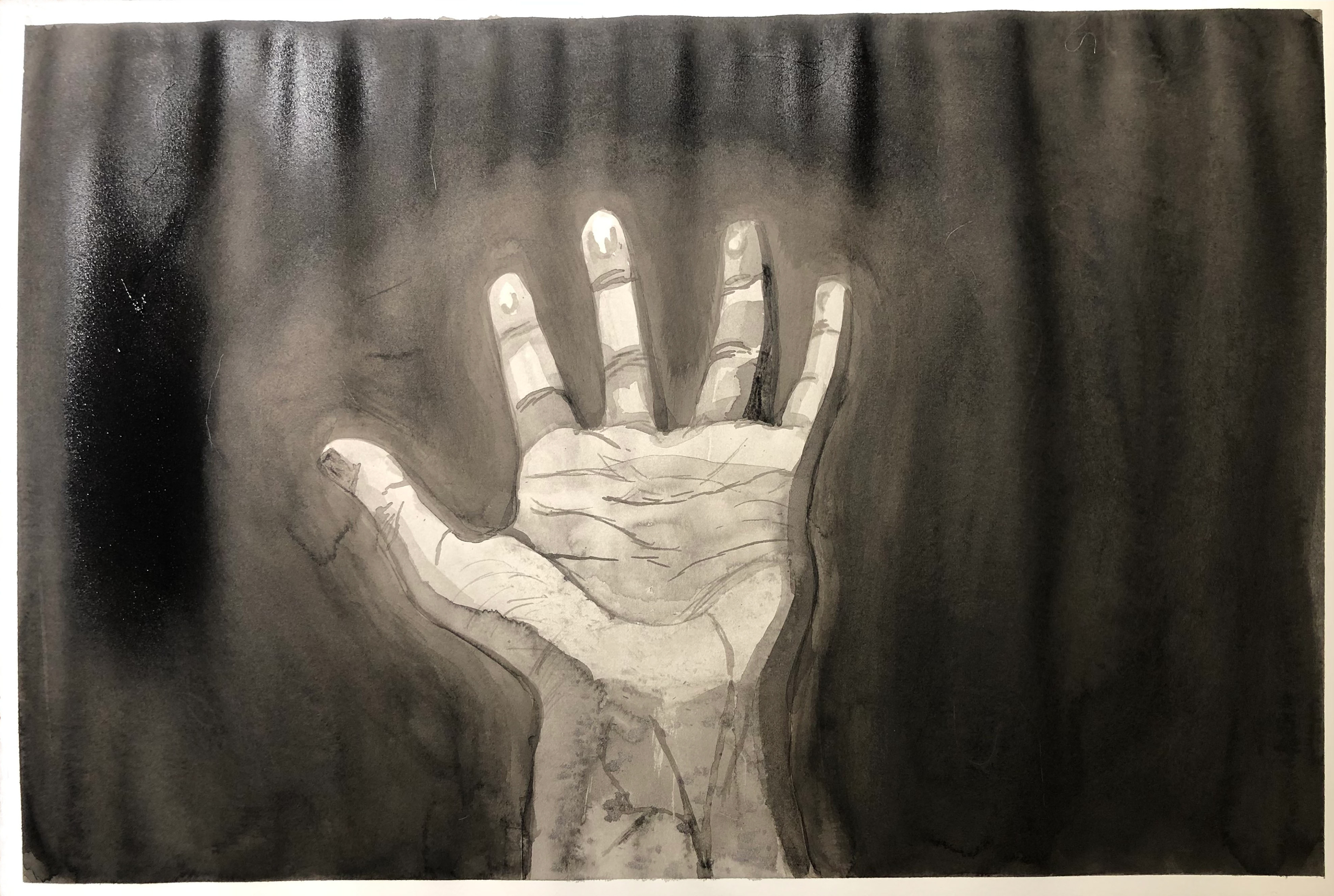 hand observation, ink on paper