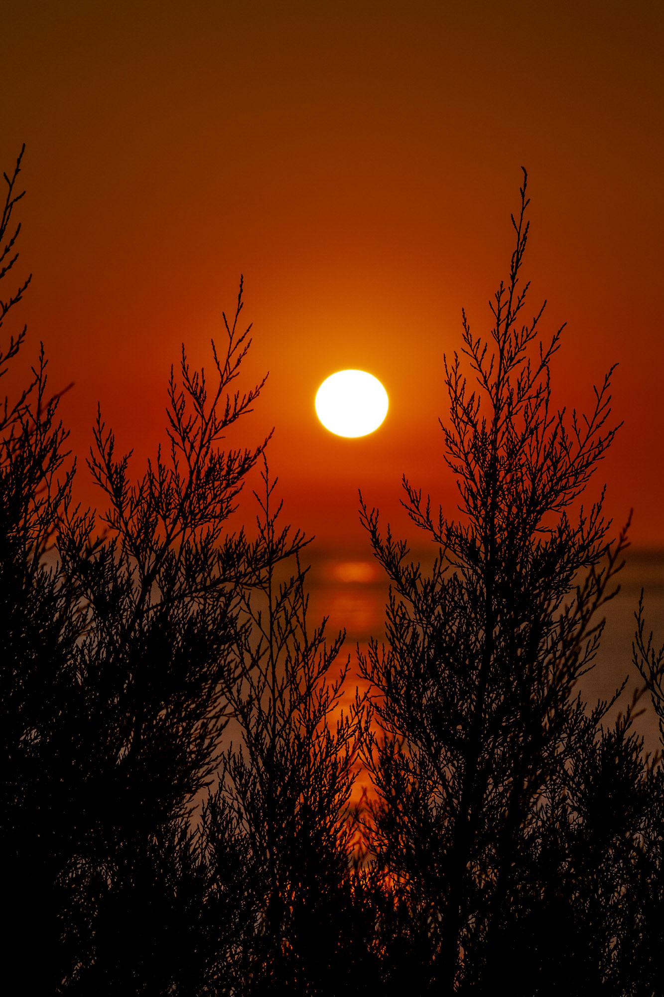 [Canon 1000d] Foz Sunset - Porto (July 2010)