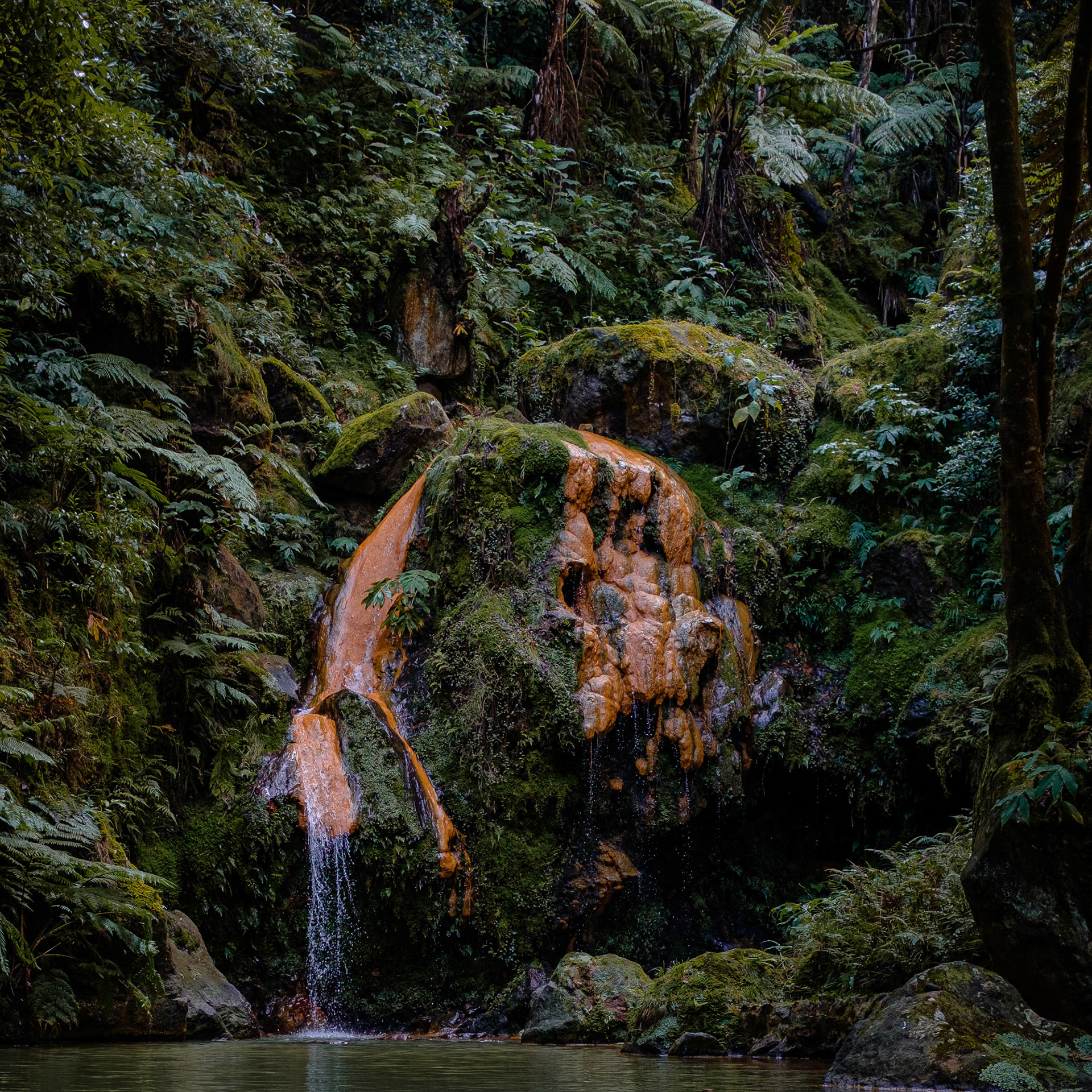 [Fujifilm X100f] Caldeira Velha - Azores (November 2019)