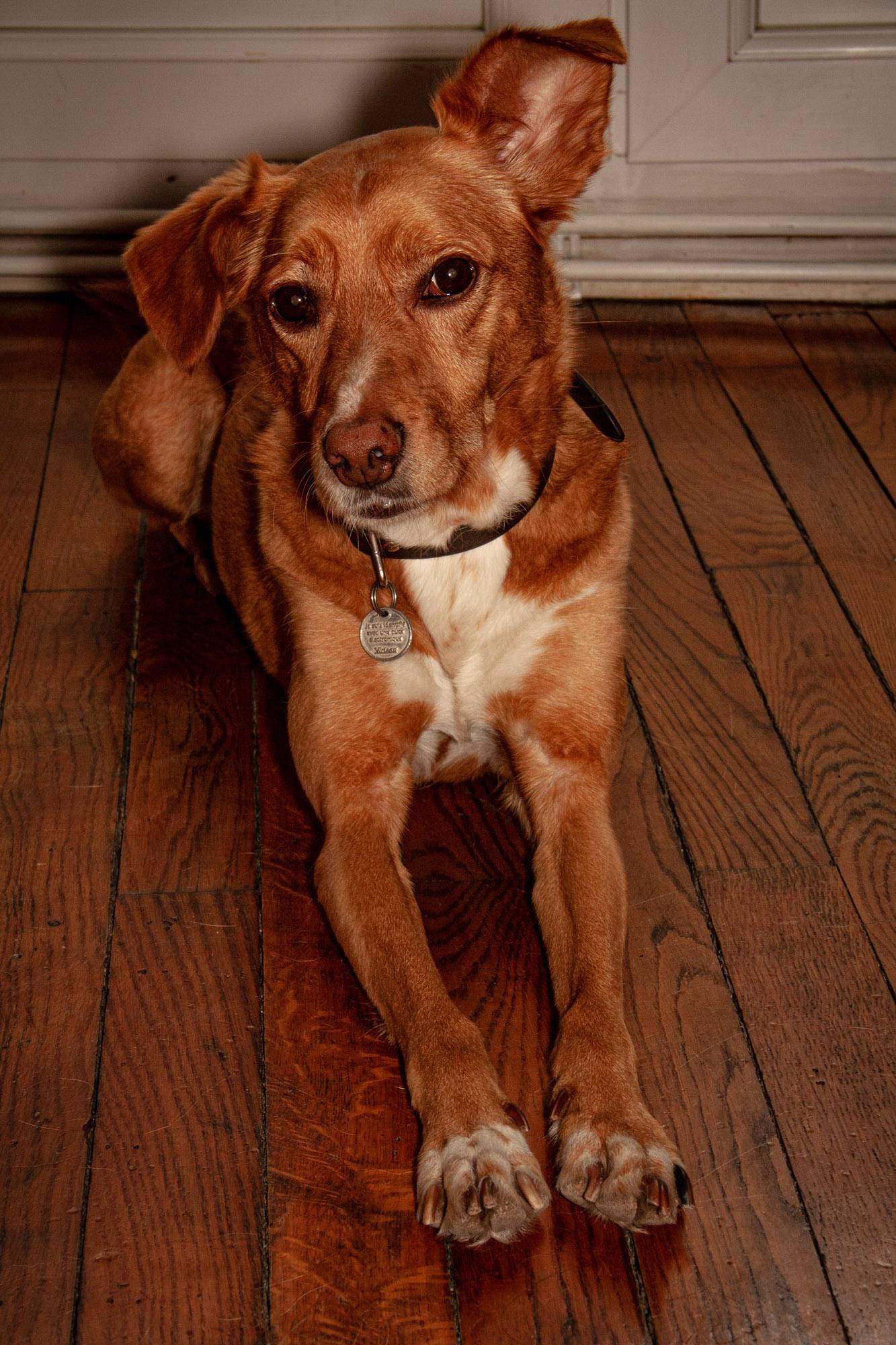 [Canon 1000d] Happy - Paris (June 2012)