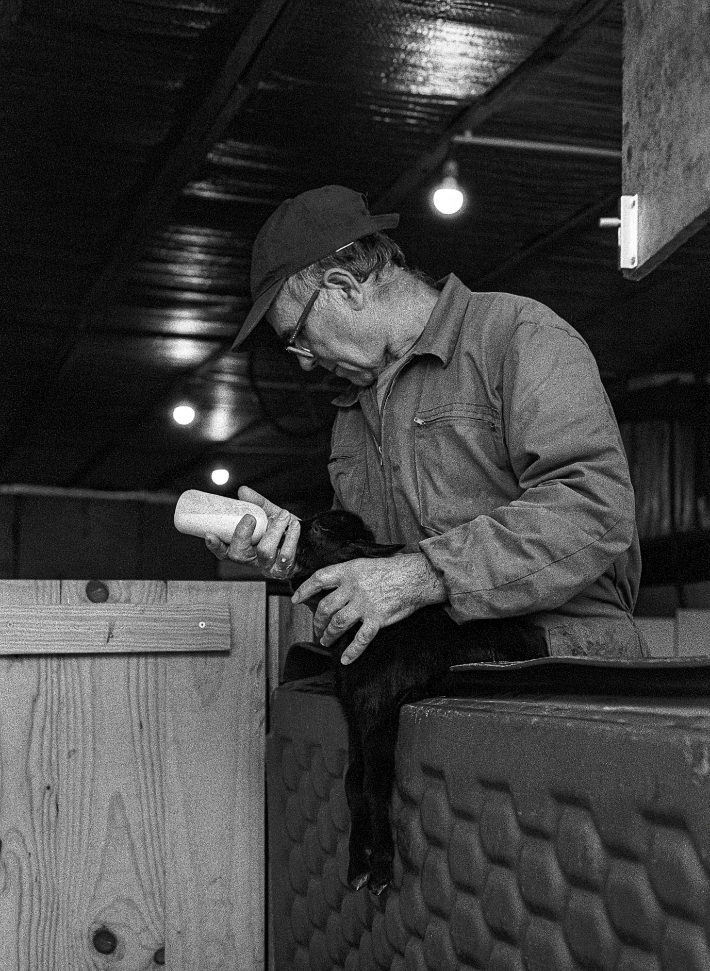 [Pentax K1000, Ilford HP5+] António Feeding a Kid (2) - Murgido (January 2021)