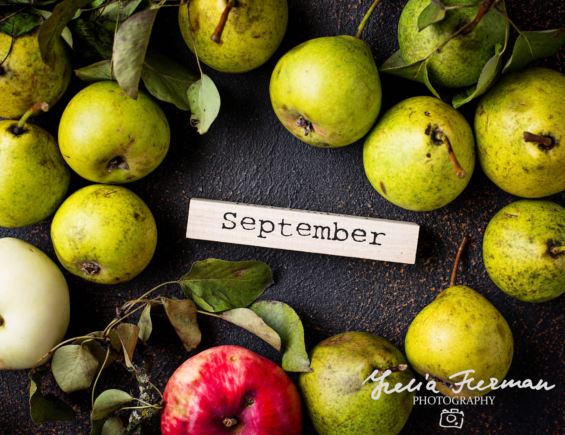 Autumn September background with pears. Top view