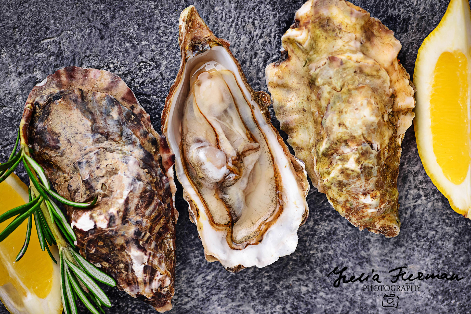 Fresh oysters with lemon and rosemary. Top view