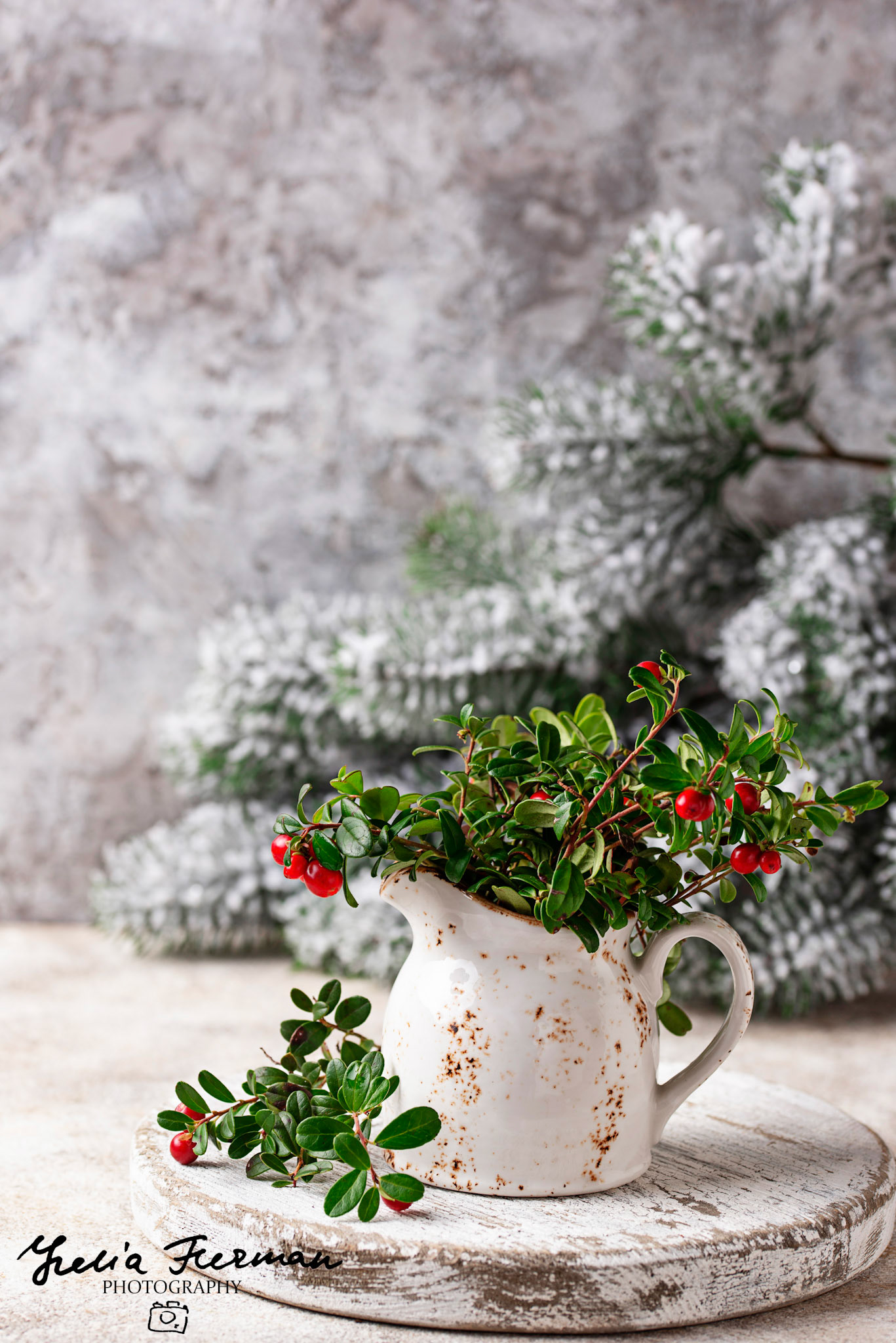 Cranberry branches with berries in pot on light background