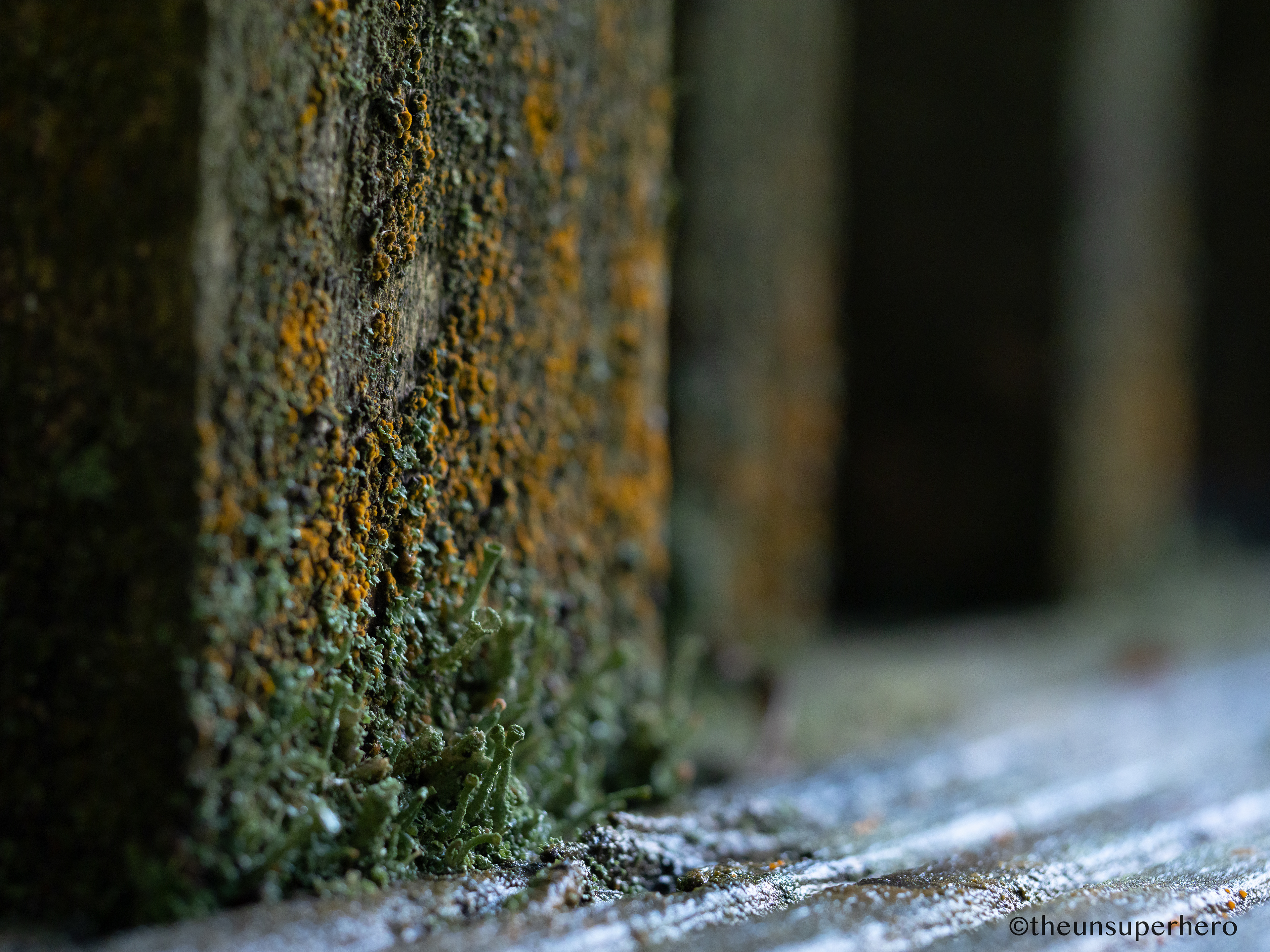 lichen X hot tub deck