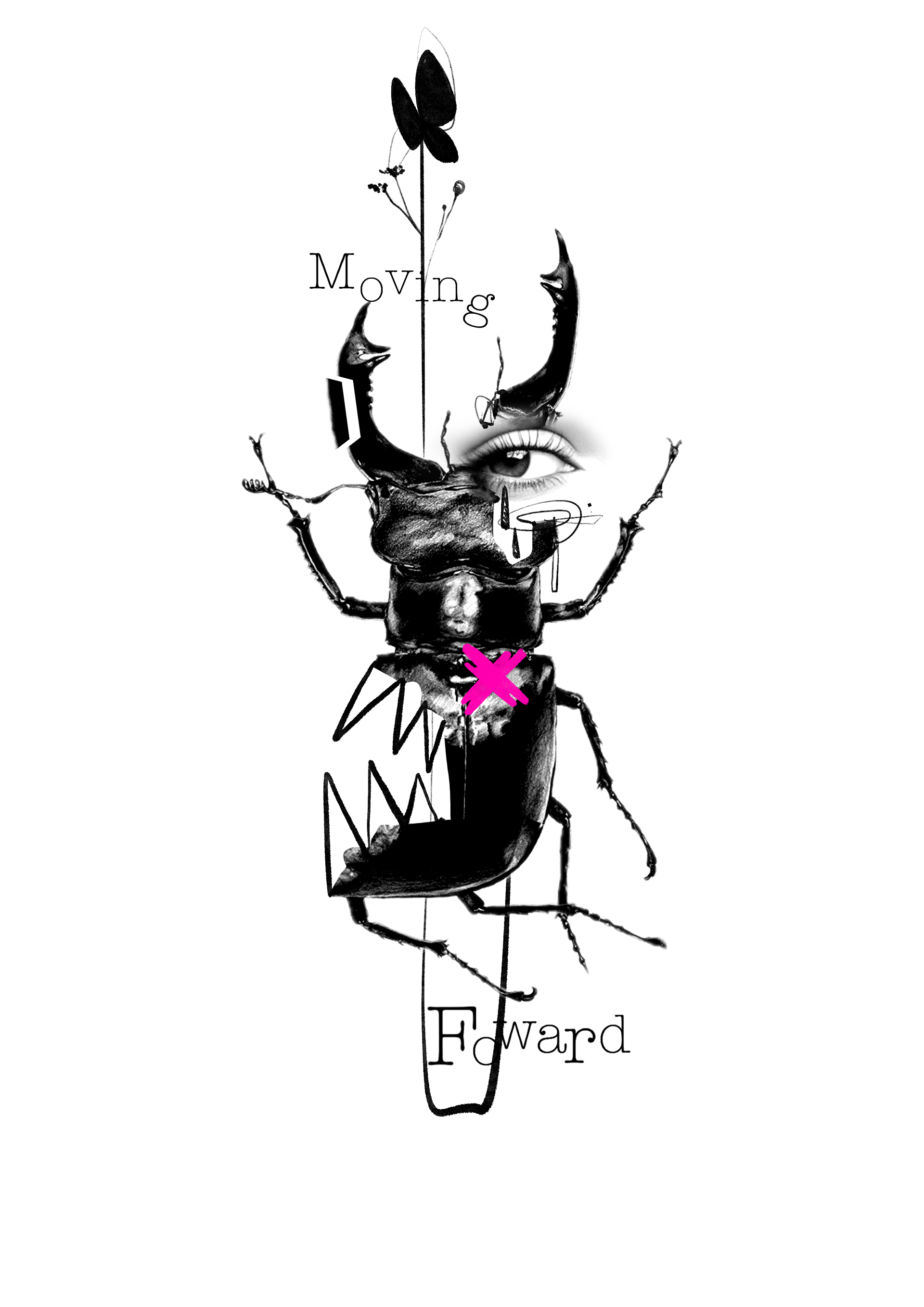 "MF"