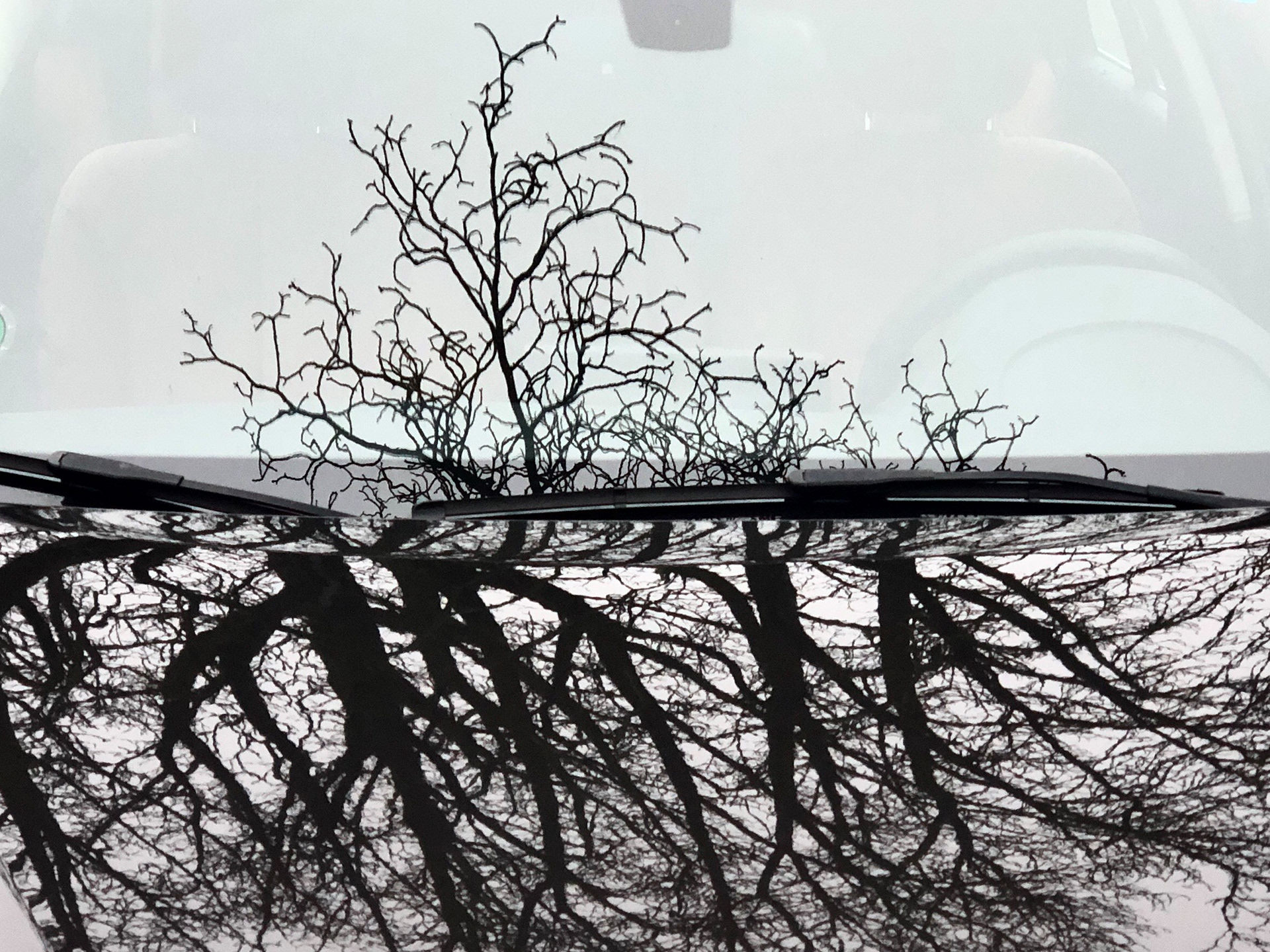 Foto van Hendrik Jan Zonneveld