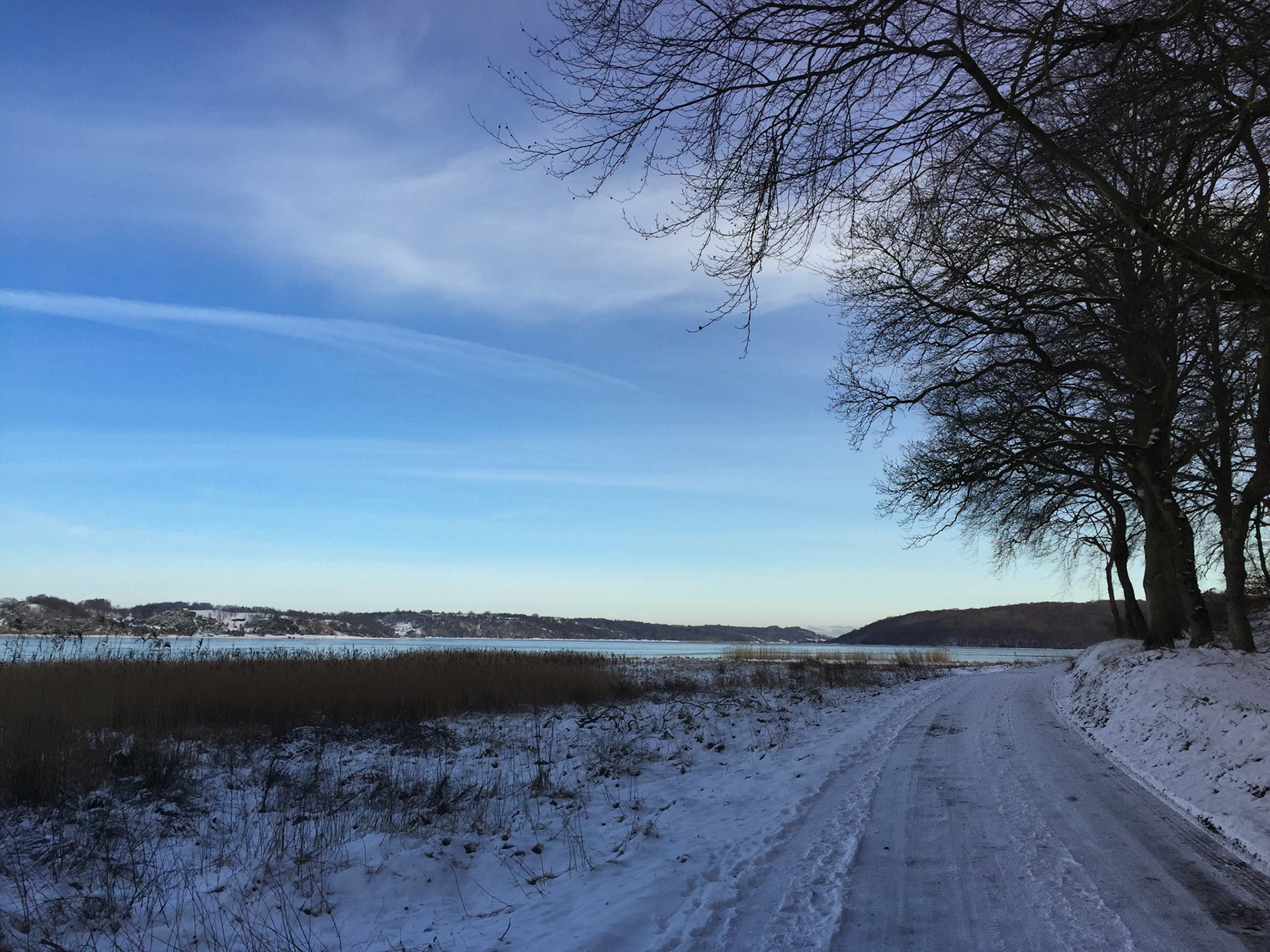 Dejlige vinterdage