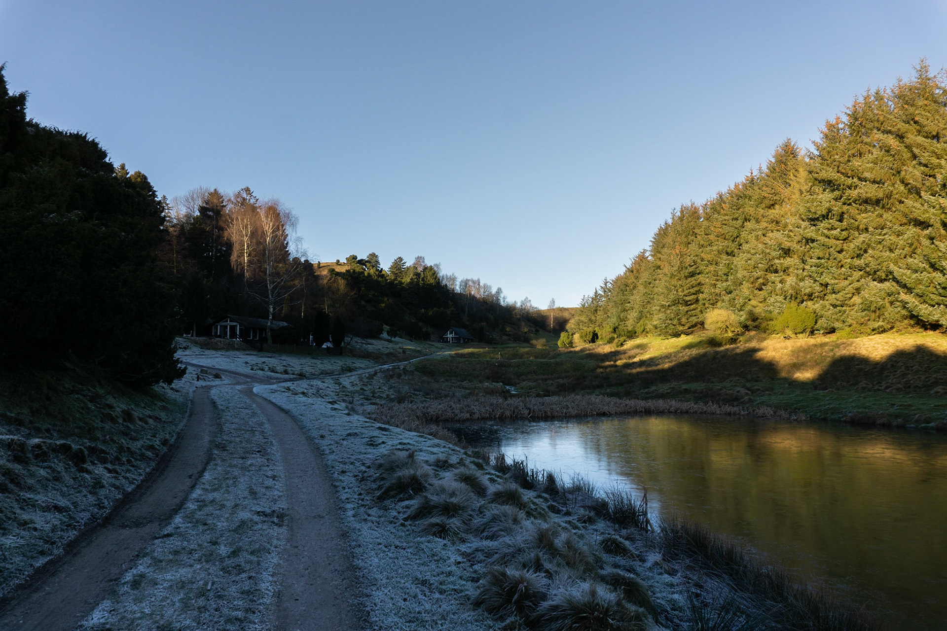 Sildehagen med vintersol og frost