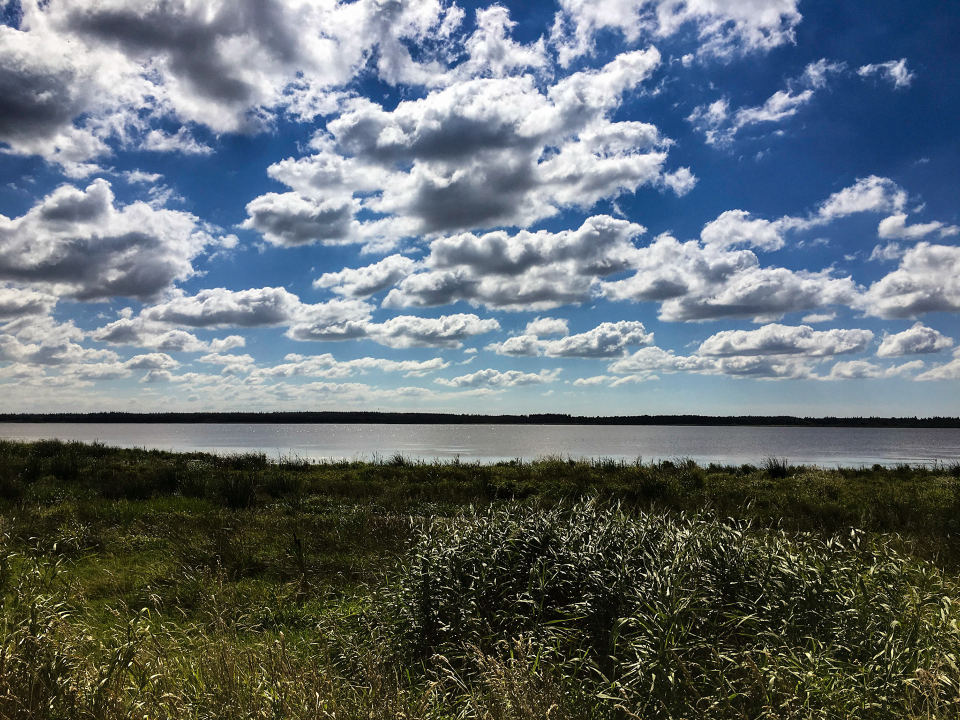 Vi synes skyerne denne dag var helt fantastiske over Filsø.