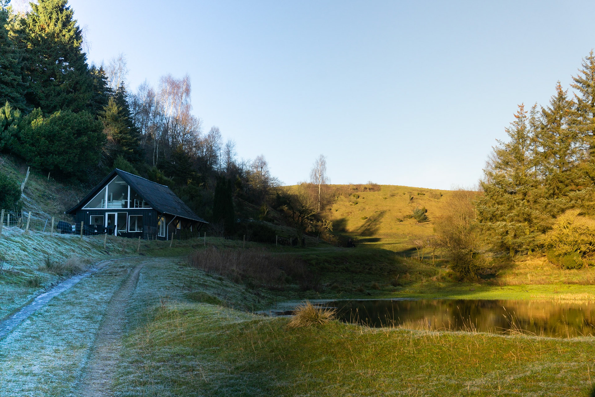 Sildehagen med vintersol og frost