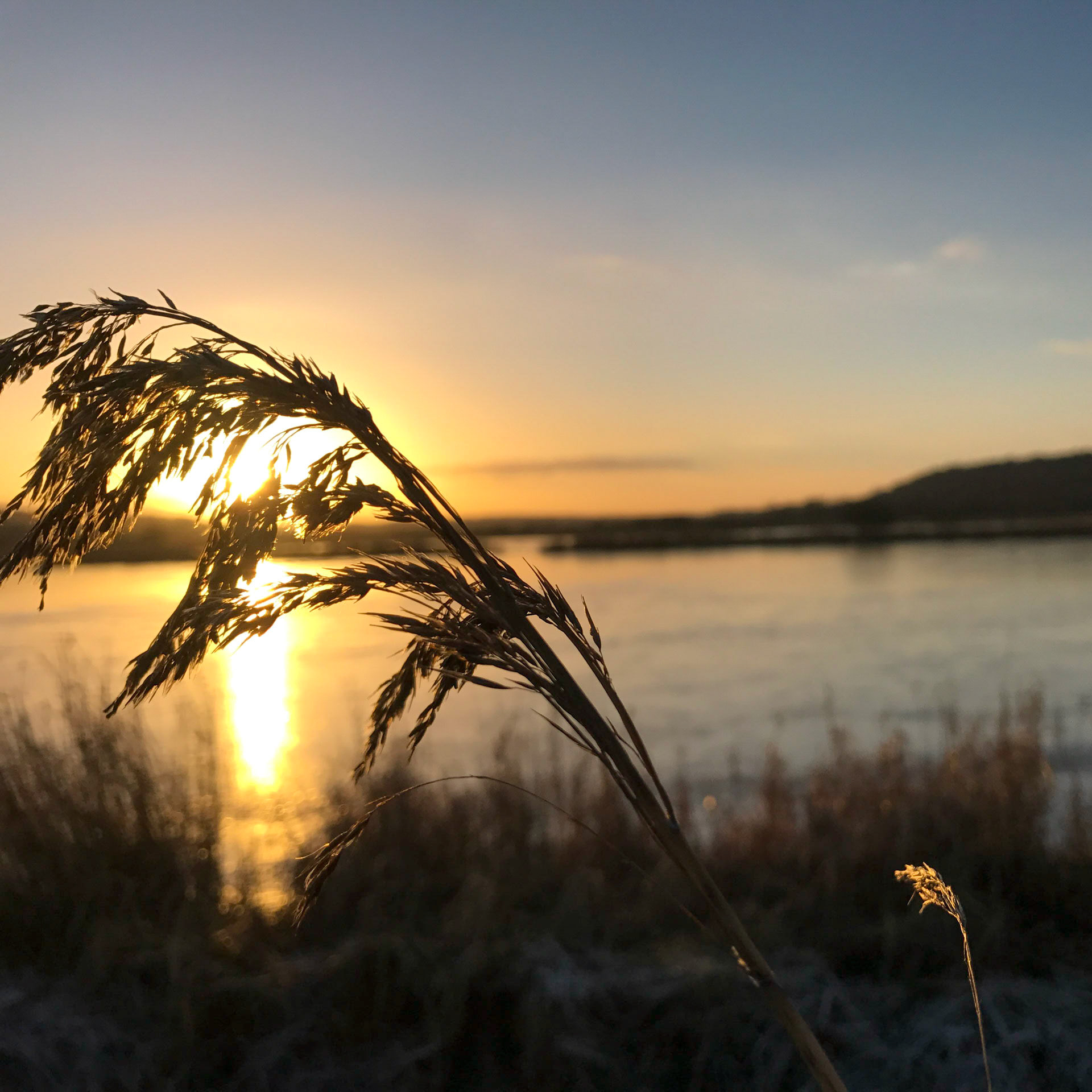 Vi nyder når solen går ned
