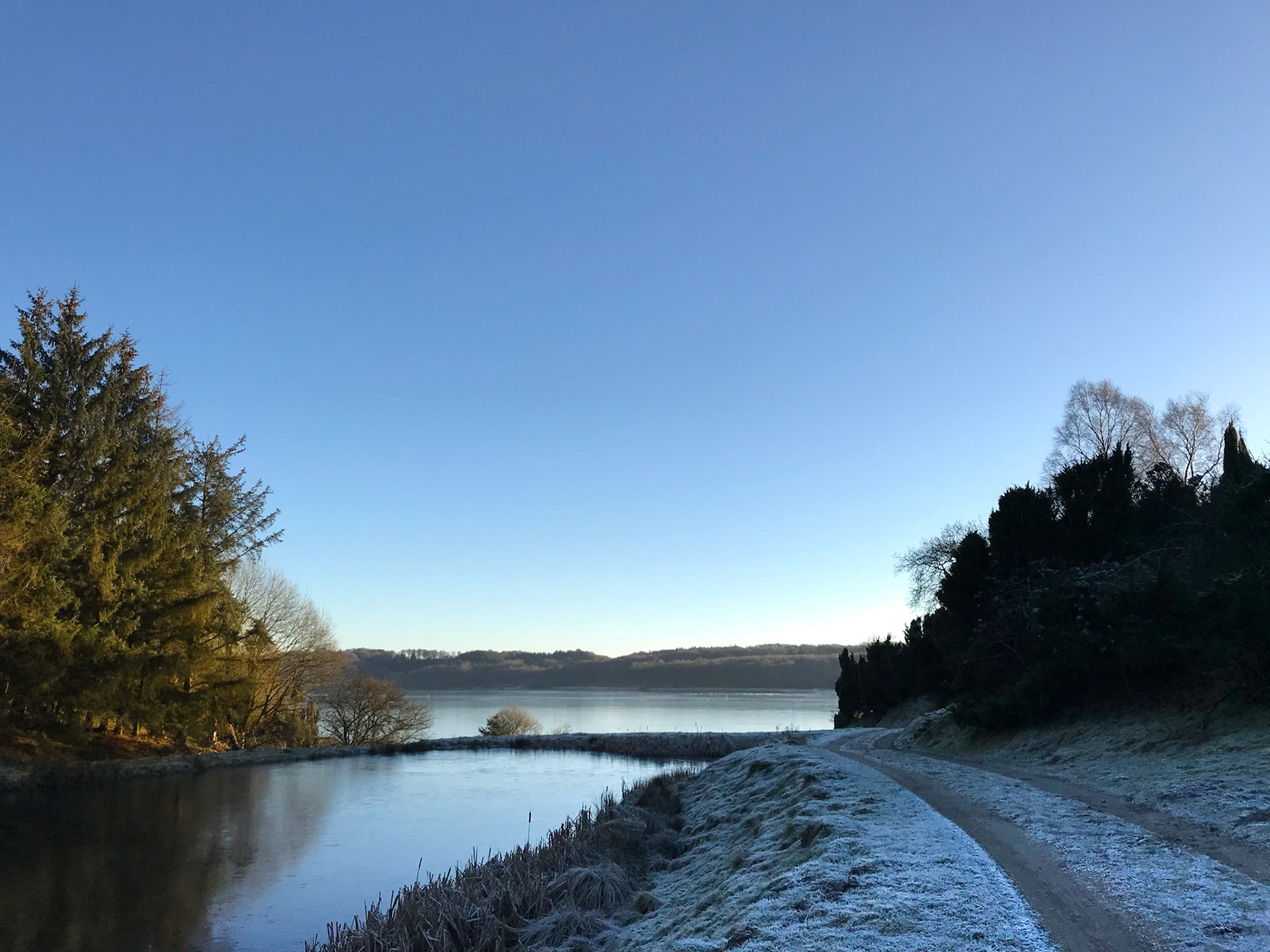 Sildehagen med vintersol og frost